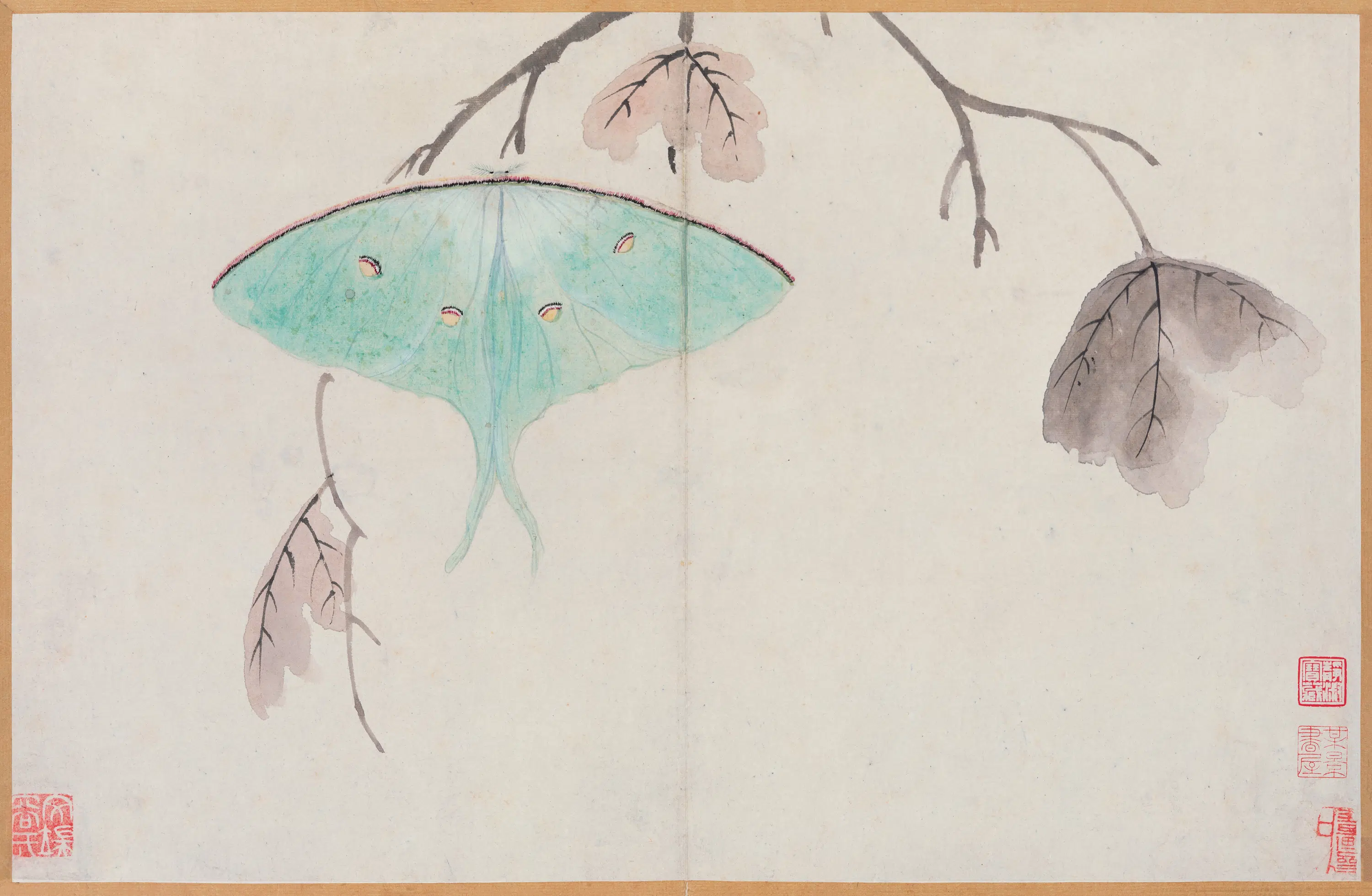 明朝【文俶】《花蝶草虫册》
