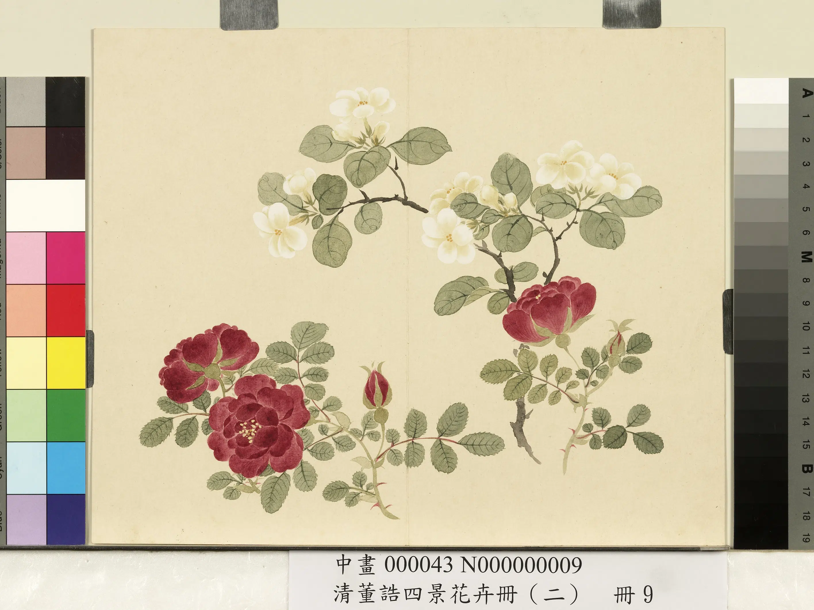 清代【董诰】《四景花卉册(二)册》 第4张 清代【董诰】《四景花卉册(二)册》 第4张