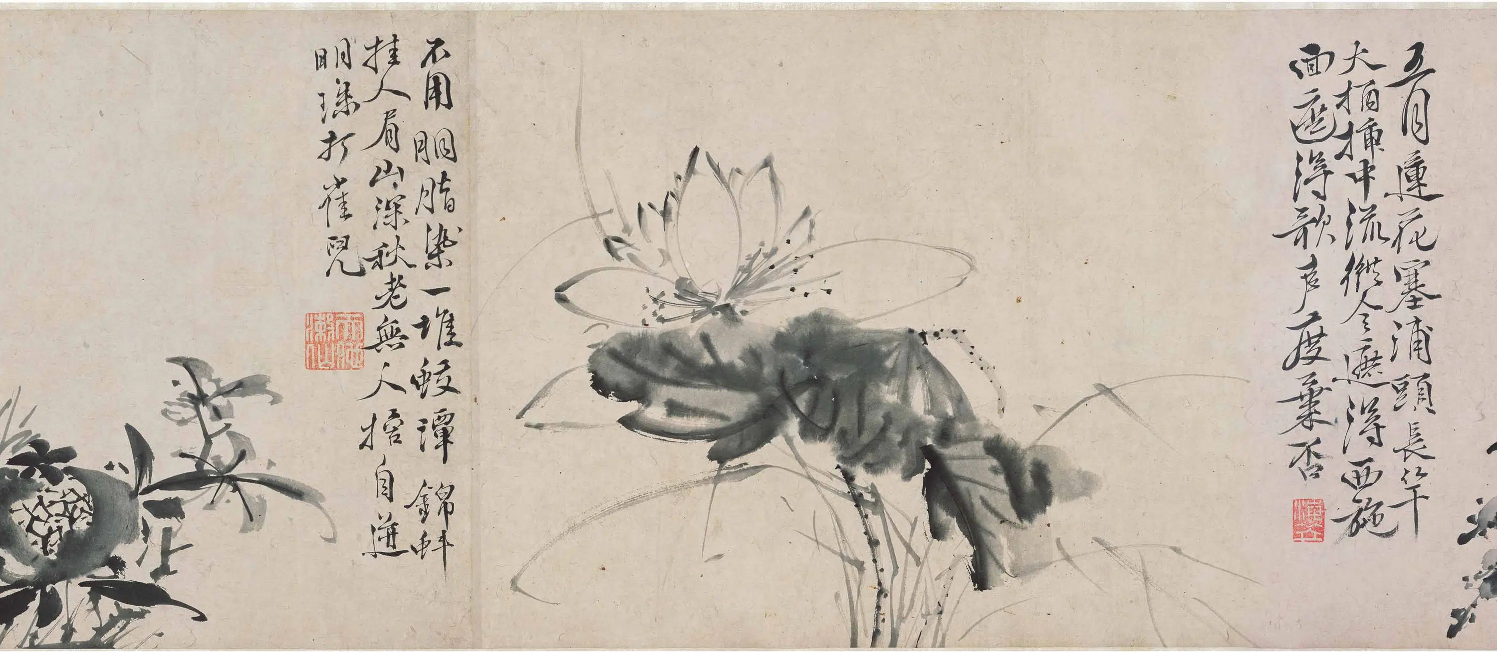 明朝【徐渭】《墨花图卷》 第5张 明朝【徐渭】《墨花图卷》 第5张