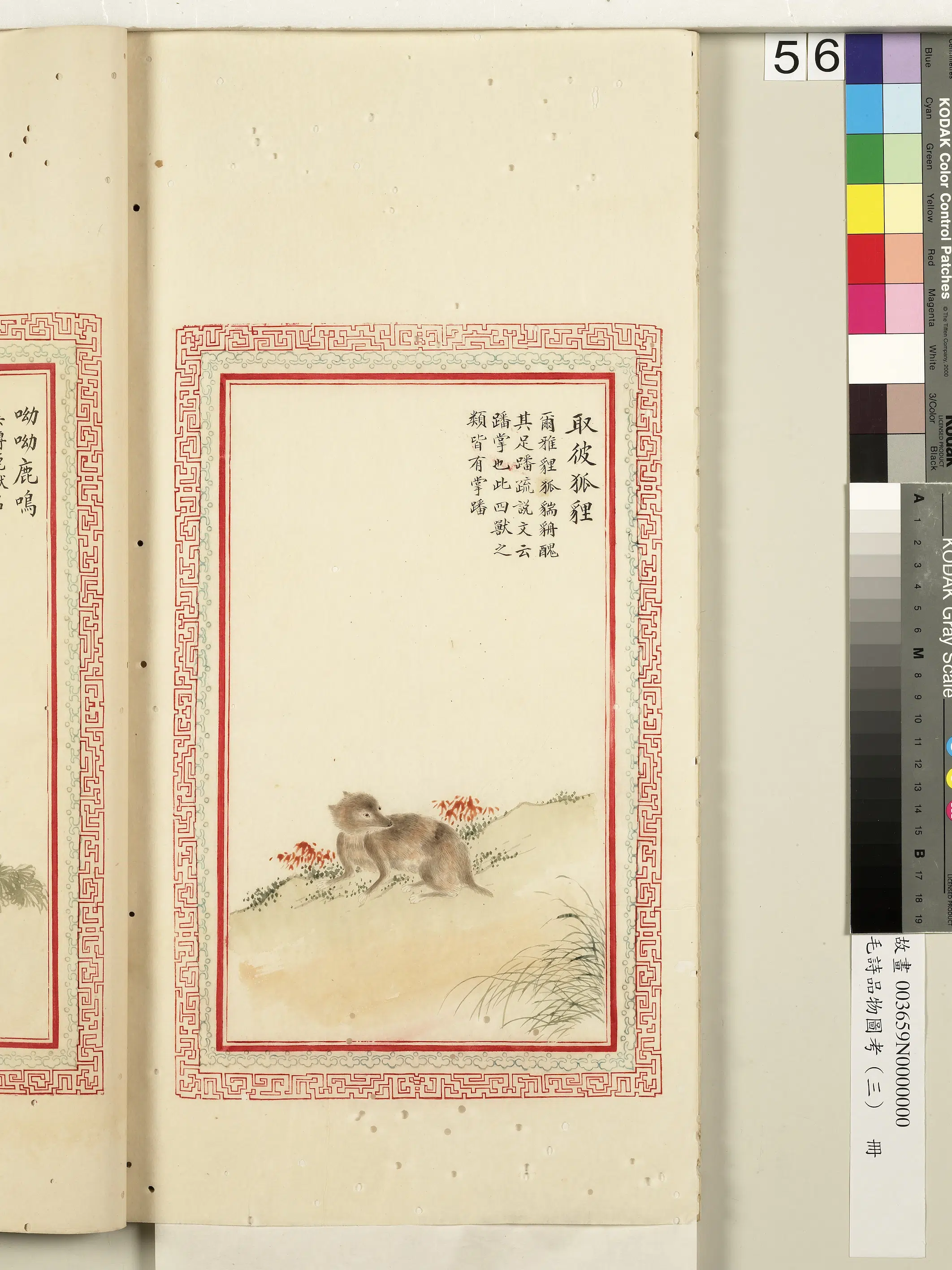 清代《毛诗品物图考(三)册-2》 第10张 清代《毛诗品物图考(三)册-2》 第10张