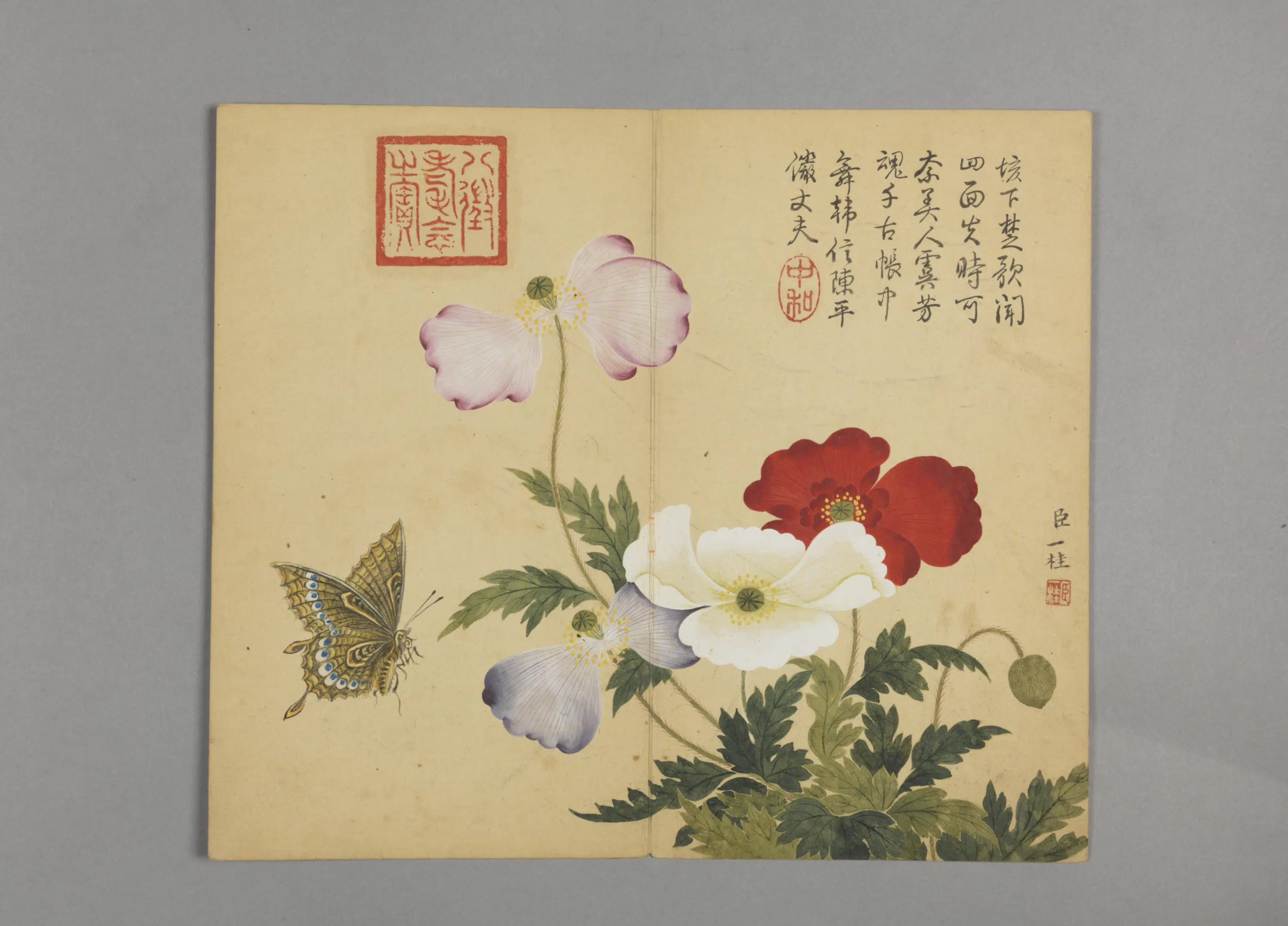 清代【邹一桂】《花鸟草虫图册（12开）》 第9张