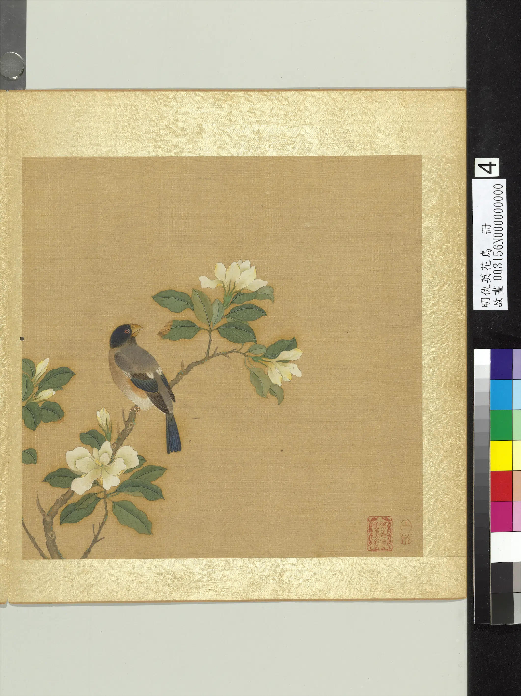 明朝【仇英】《花鸟册（12开）》 第3张