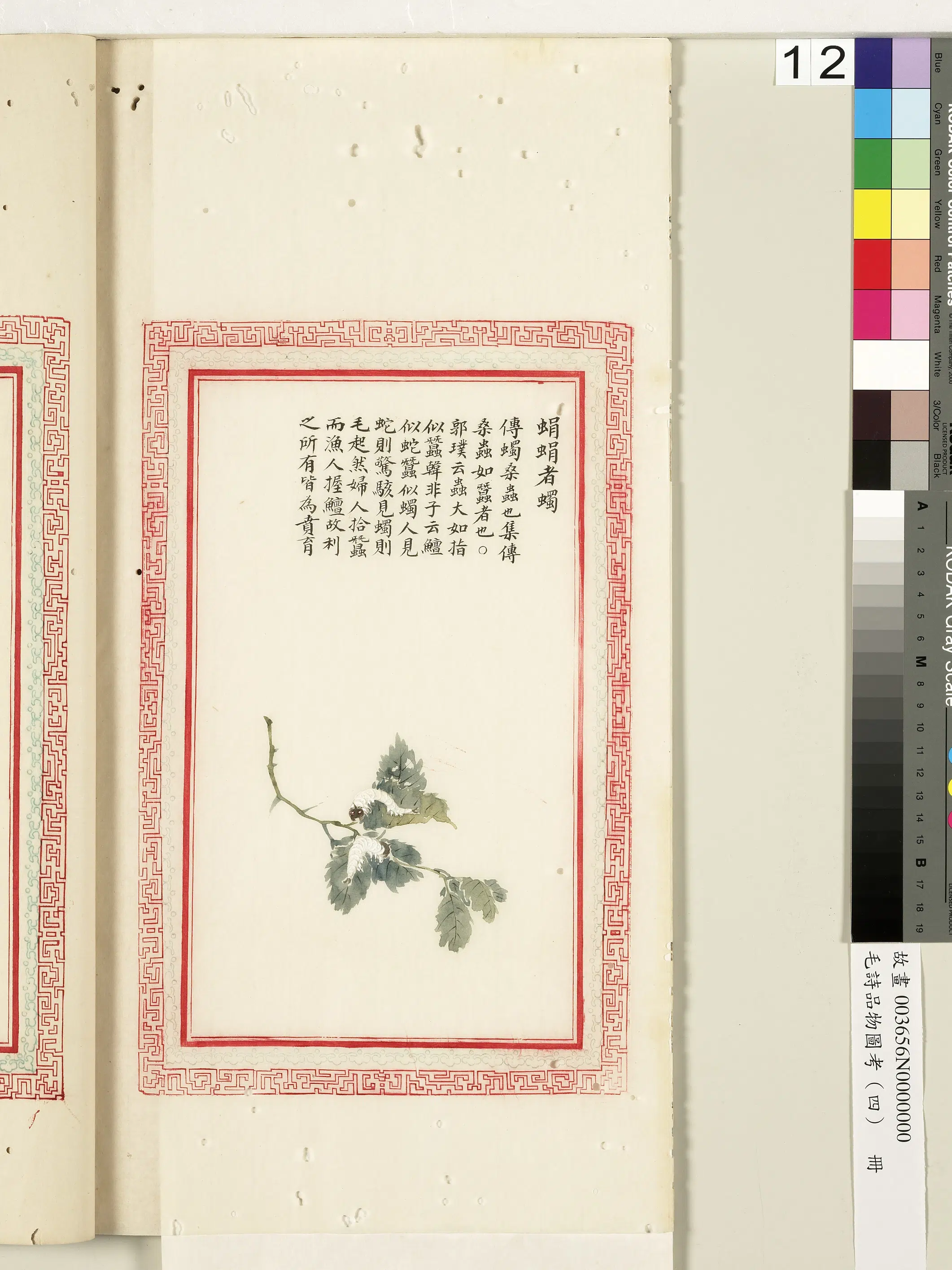 清代《毛诗品物图考（四）册-1》 第20张