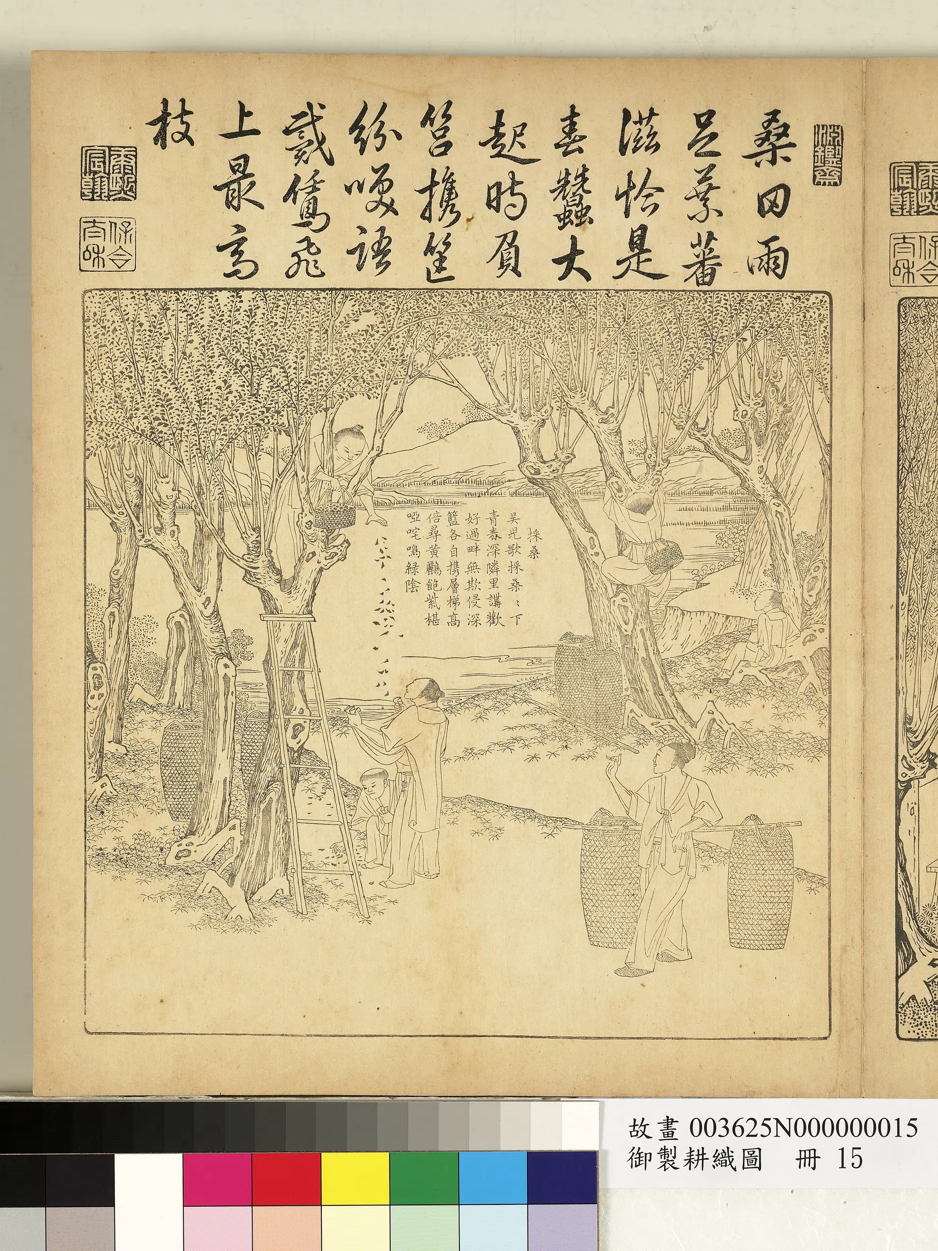 清代【焦秉贞】《御制耕织图册-采桑（朱圭镌刻）》