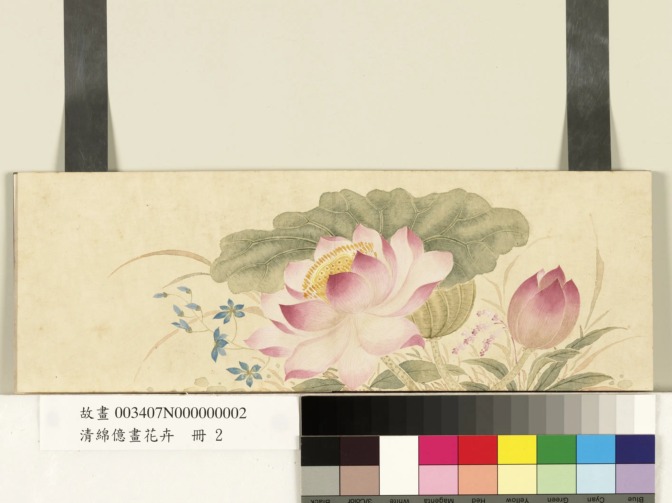 清代【爱新觉罗绵亿】《画花卉册》 第3张