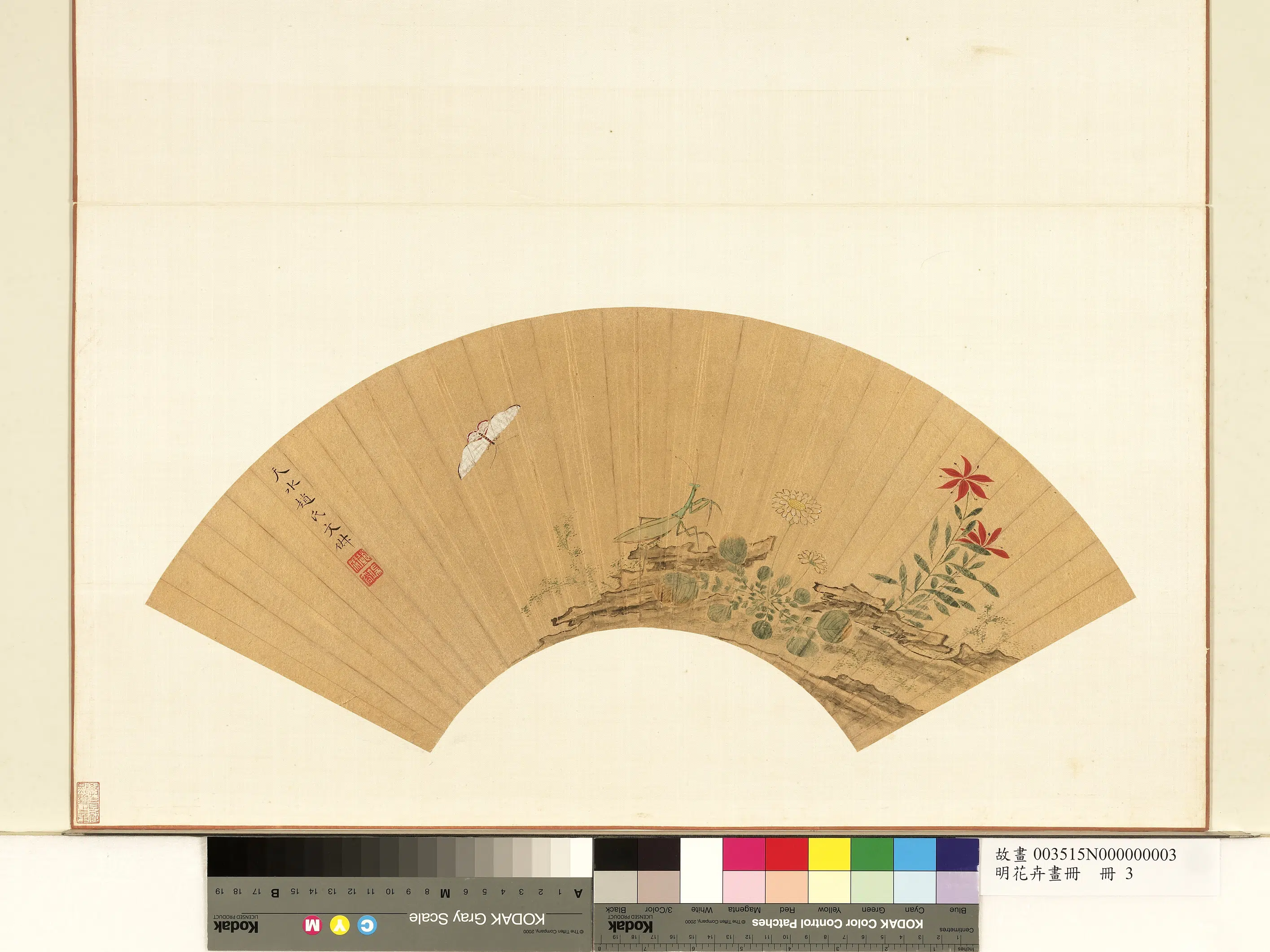 明朝【文俶】《花卉草虫-花卉画册》