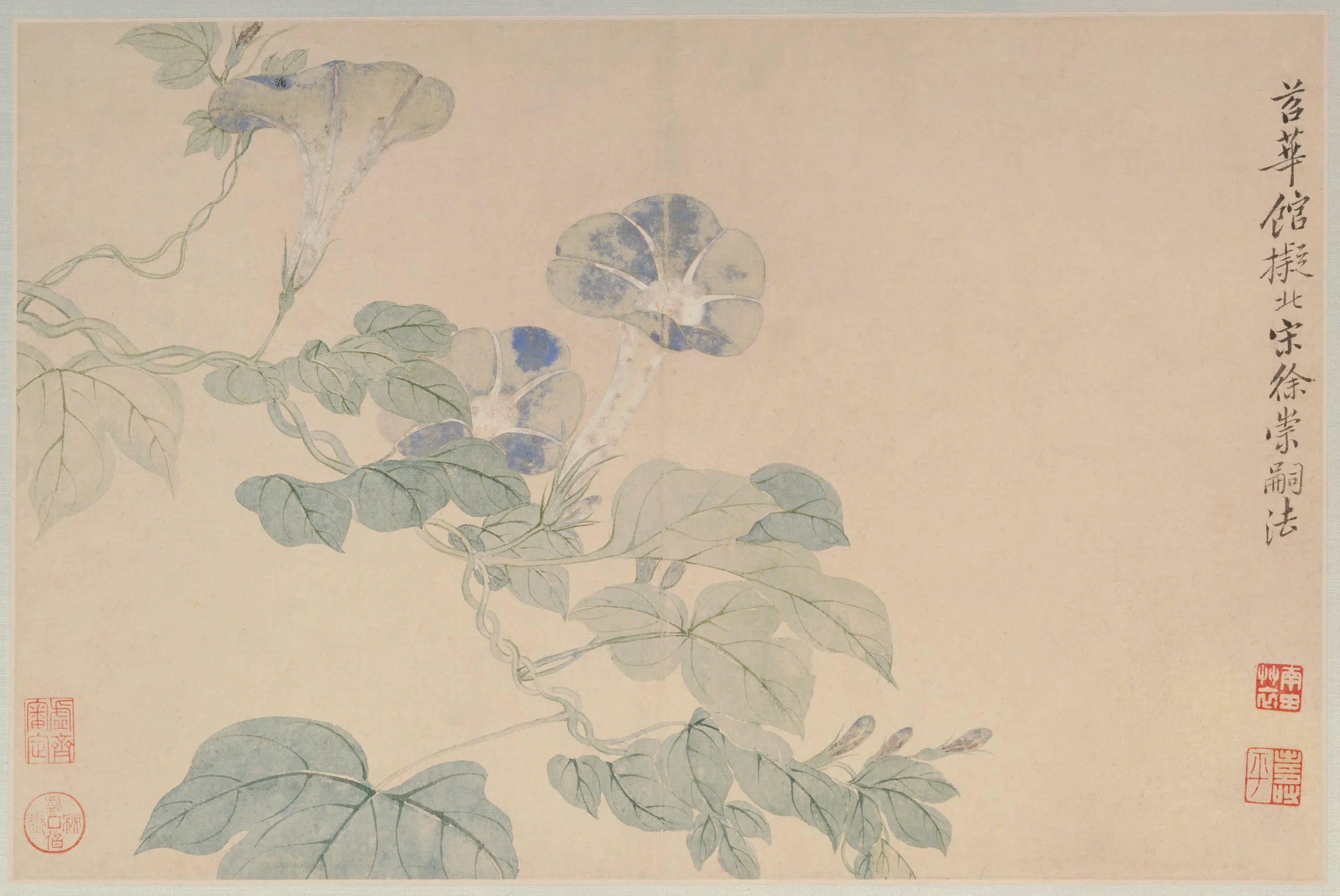 清代【恽寿平】《花卉山水册(12开)》 第7张 清代【恽寿平】《花卉山水册(12开)》 第7张