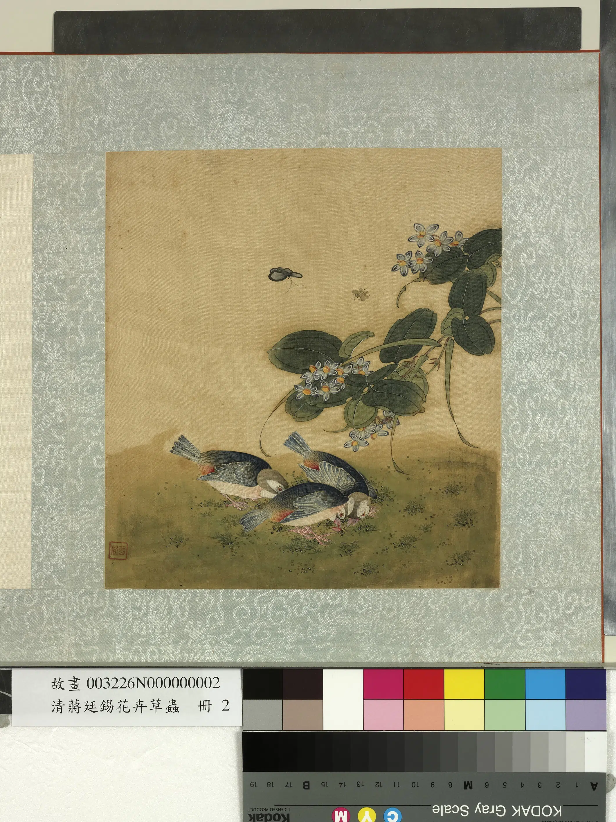 清代【蒋廷锡】《花卉草虫册》