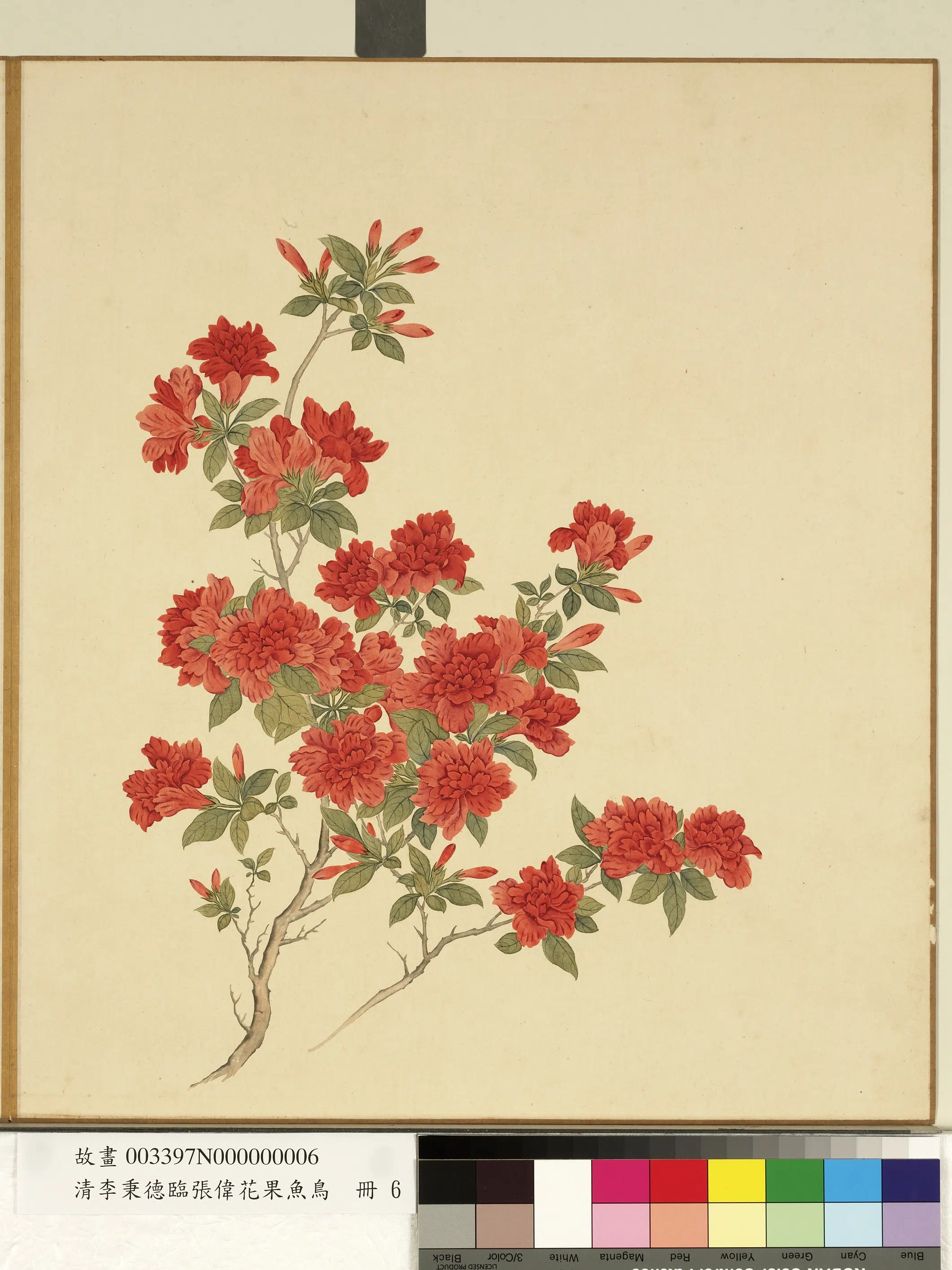 清代【李秉德】《临张伟花果鱼鸟册-榴花》