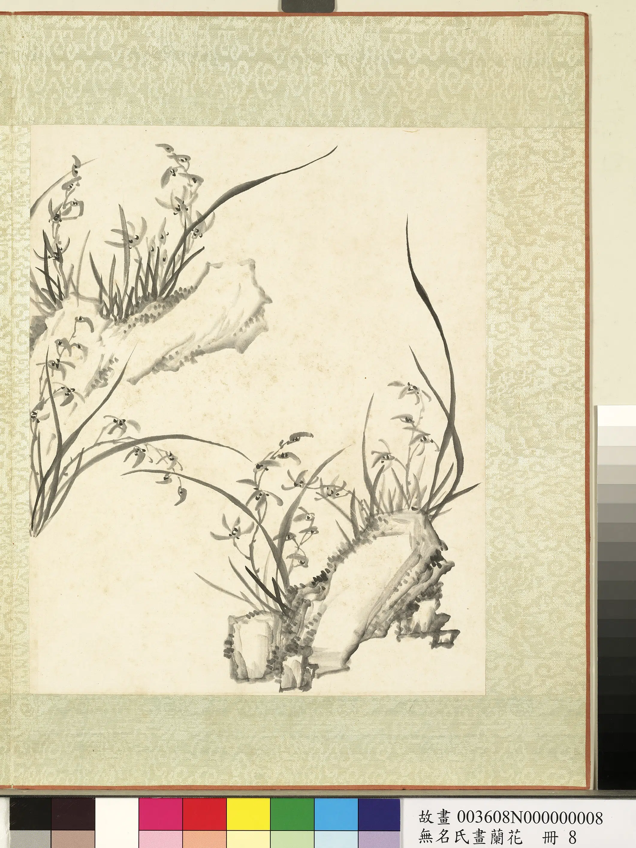 《无名氏画兰花册-兰花（十五）》