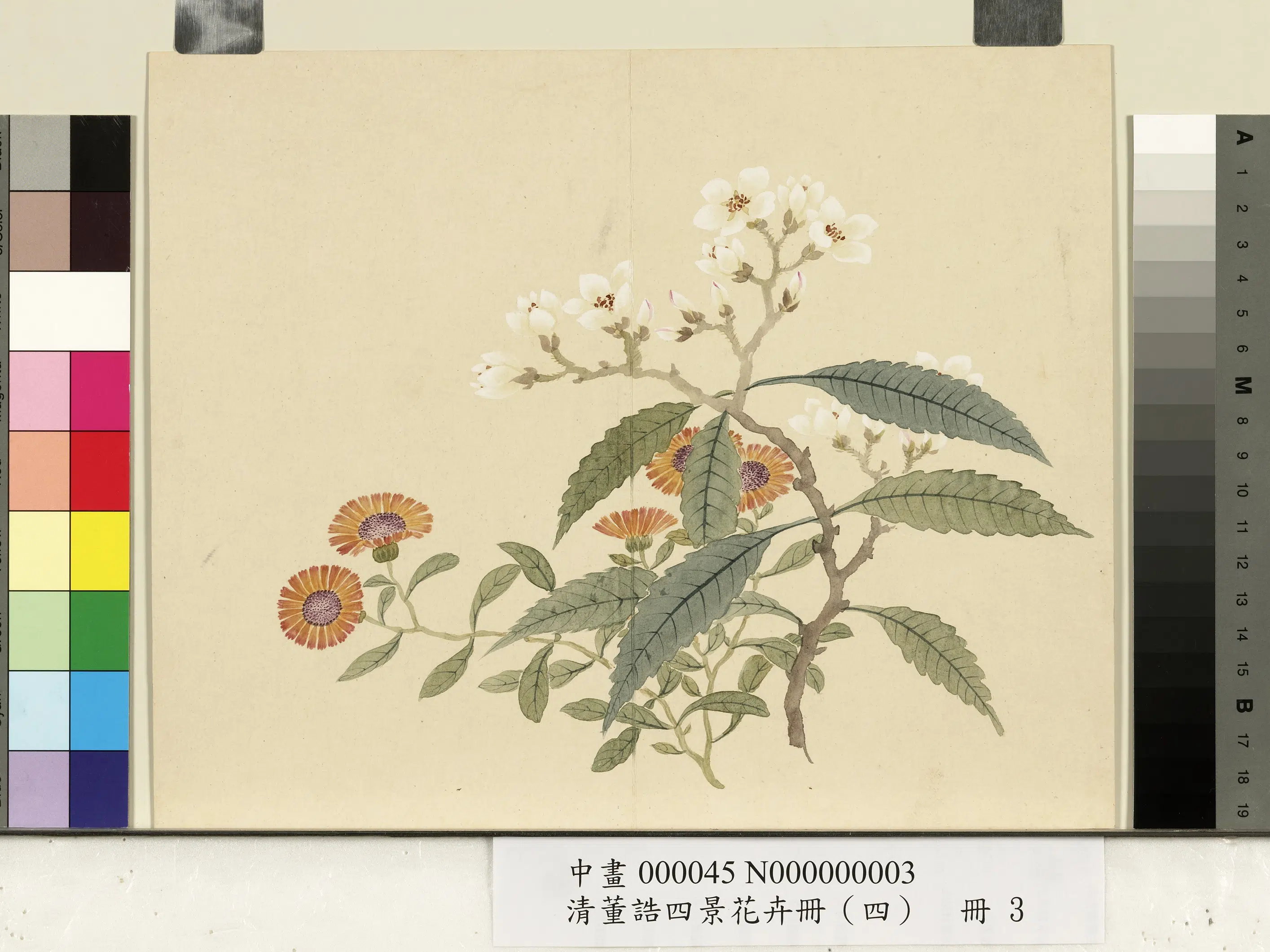 清代【董诰】《四景花卉(四)册》 第3张 清代【董诰】《四景花卉(四)册》 第3张