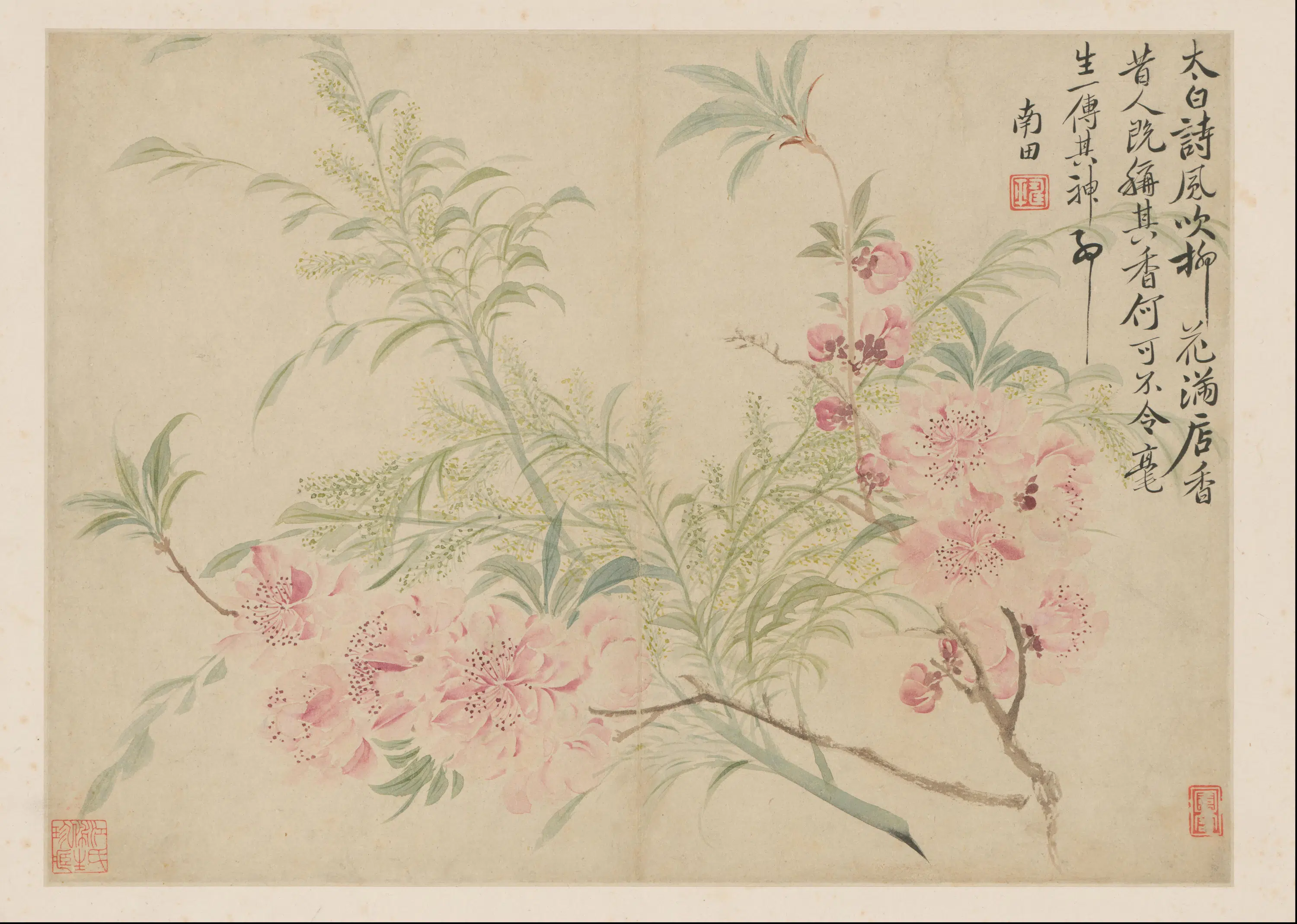 清代【恽寿平】《花卉册-1-13开》 第3张