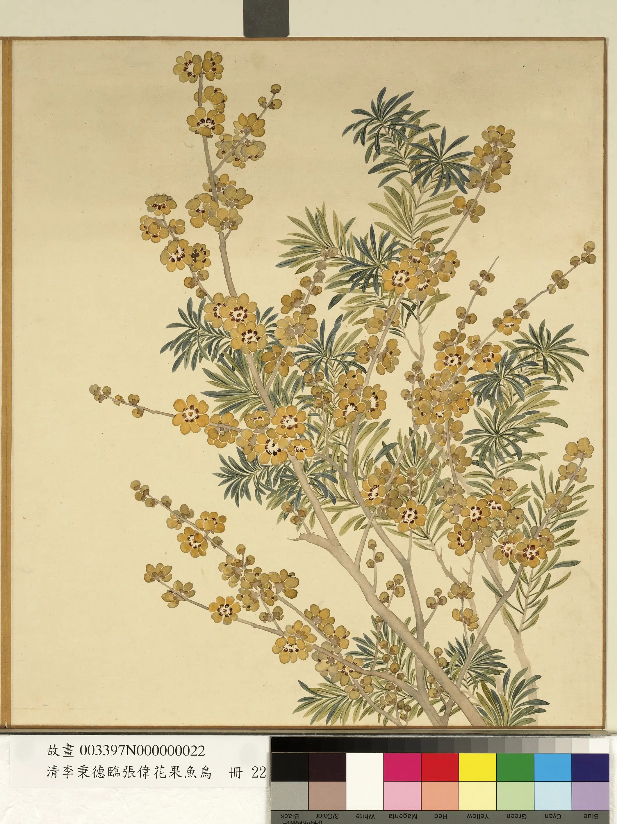 清代【李秉德】《临张伟花果鱼鸟册》 第18张