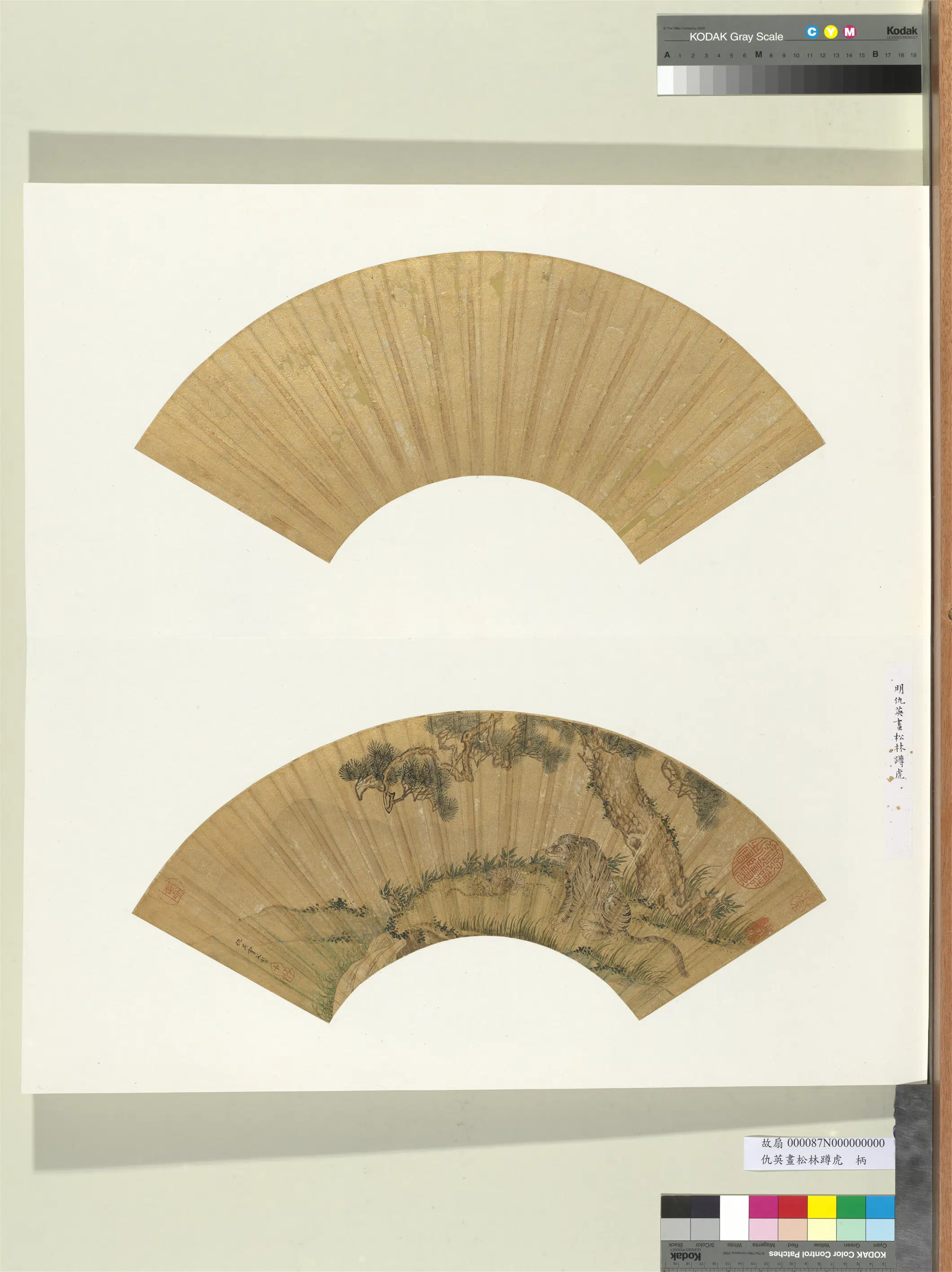 明朝【仇英】《画松林蹲虎册页》