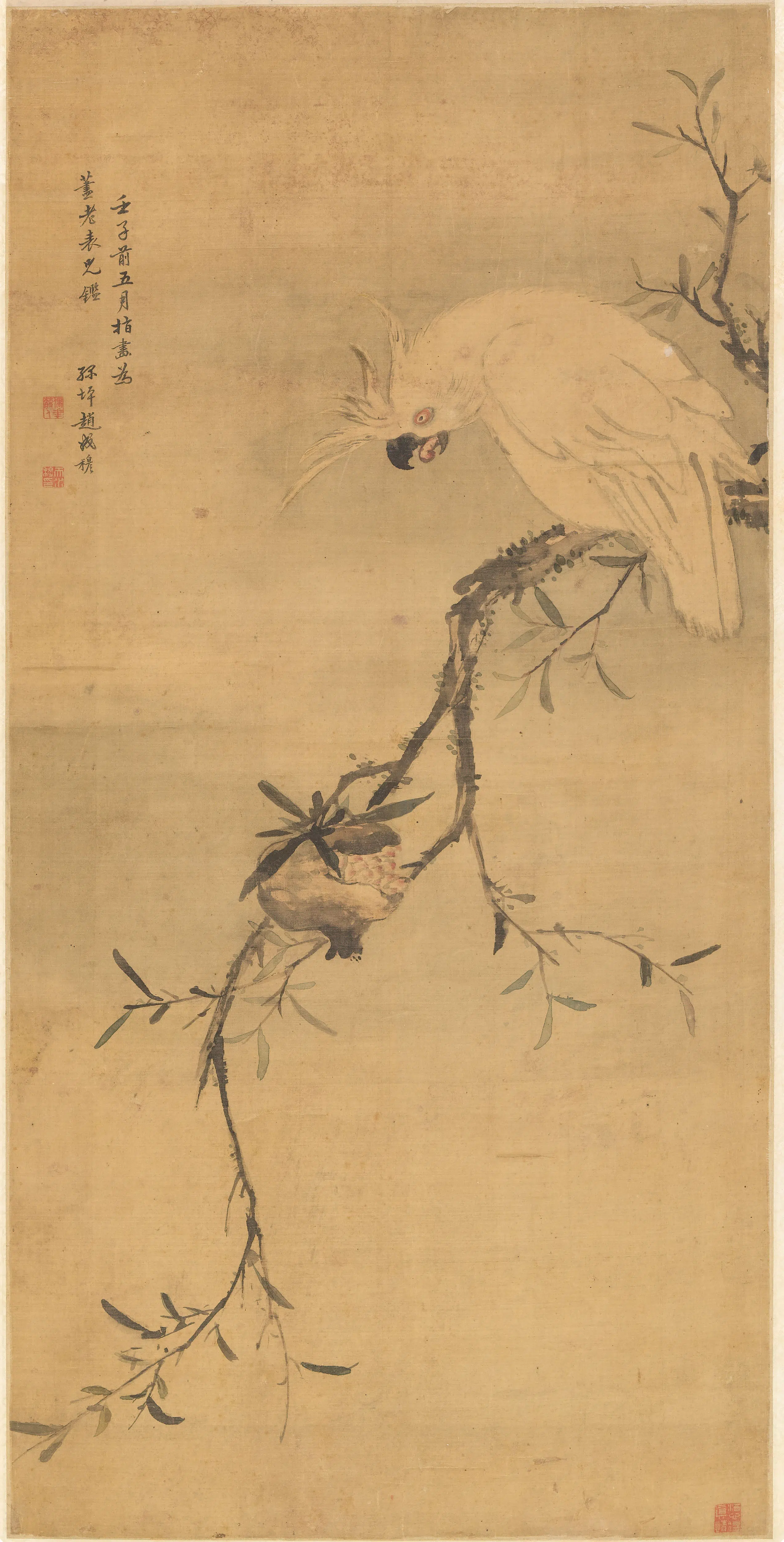 清代【赵成穆】《鹦鹉石榴图轴》