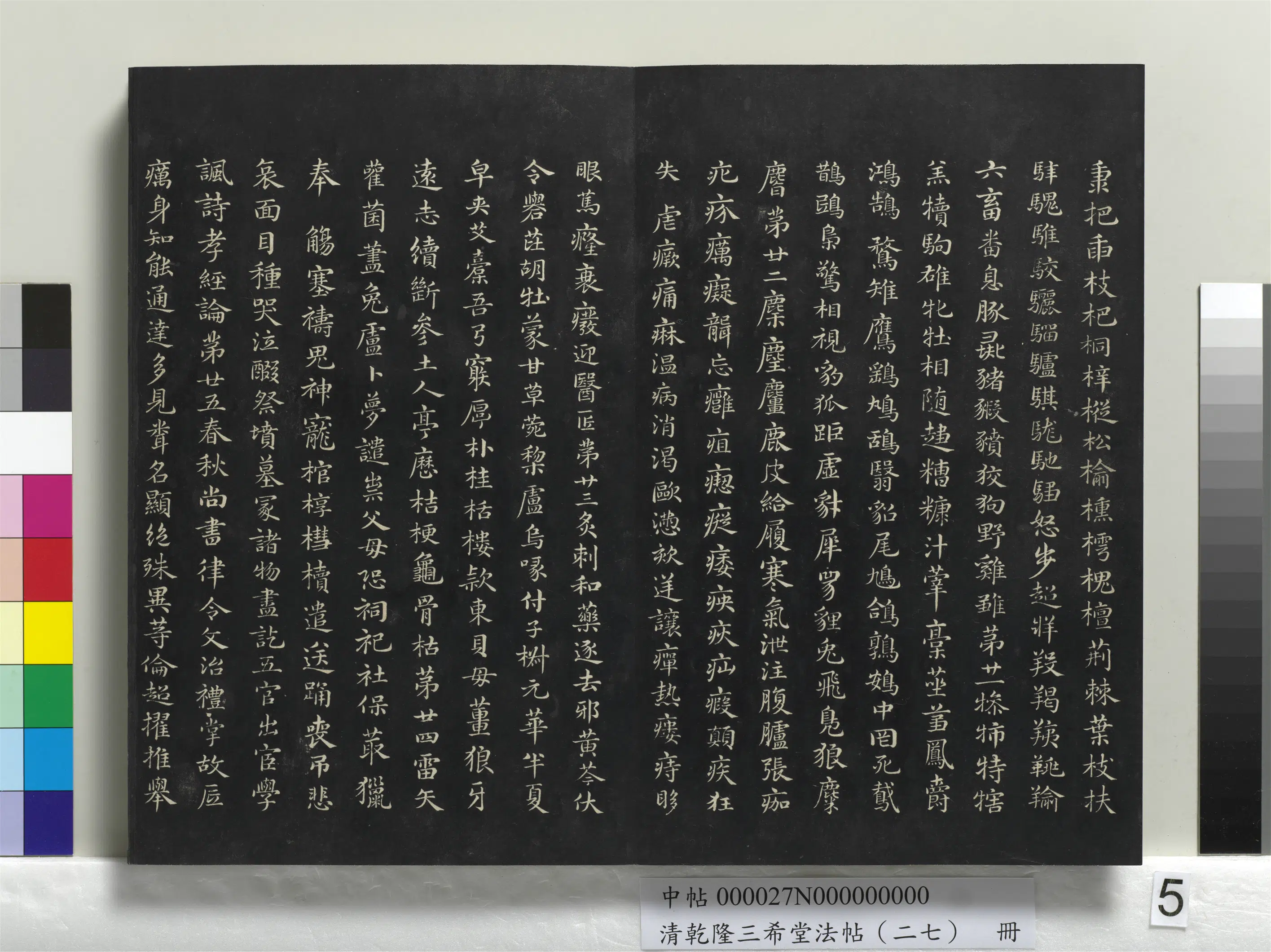 元朝【俞和】《乾隆三希堂法帖（二十七）册-元俞和书急就章》 第5张