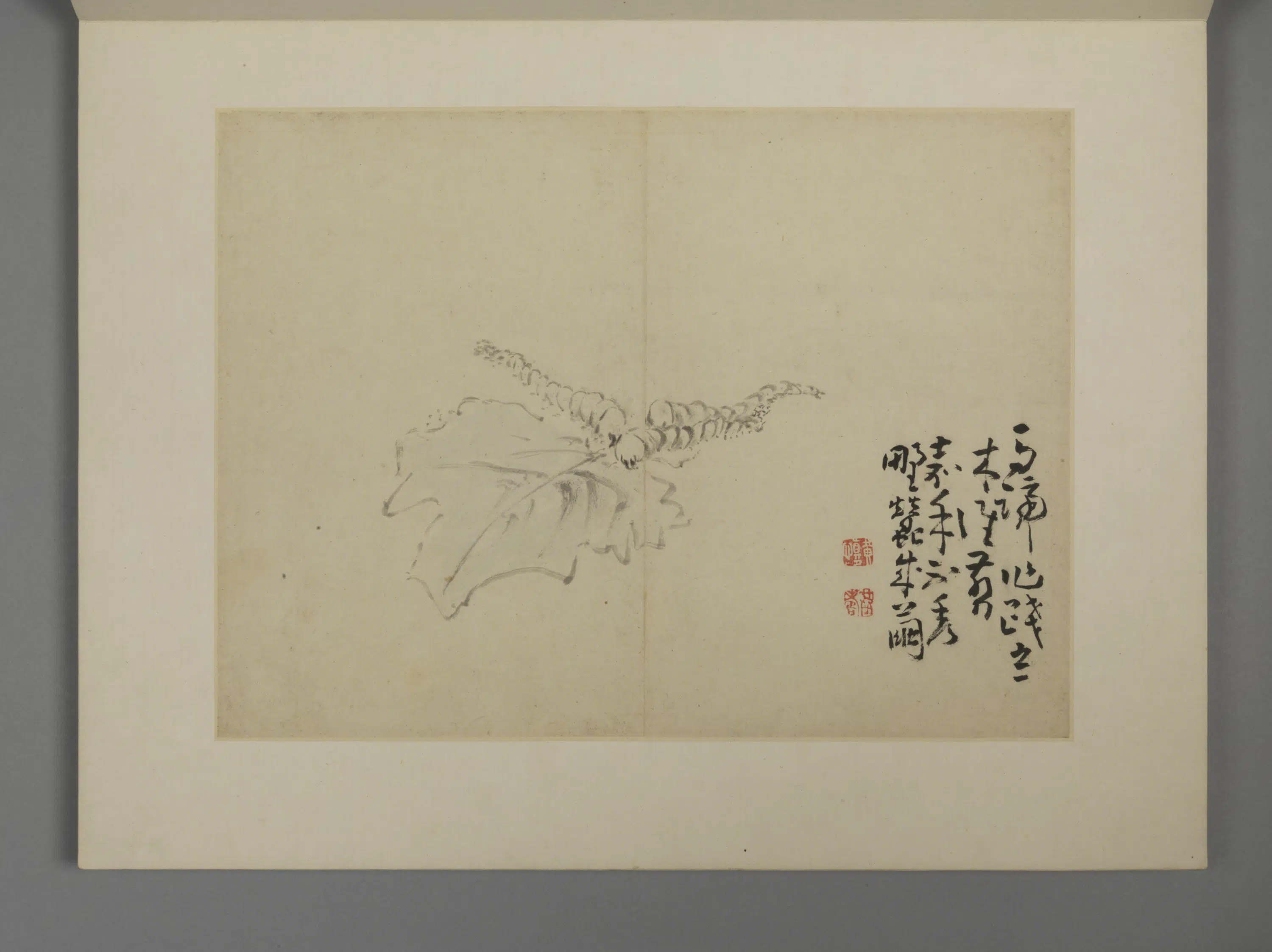 清代【黄慎】《别有风味册》 第12张