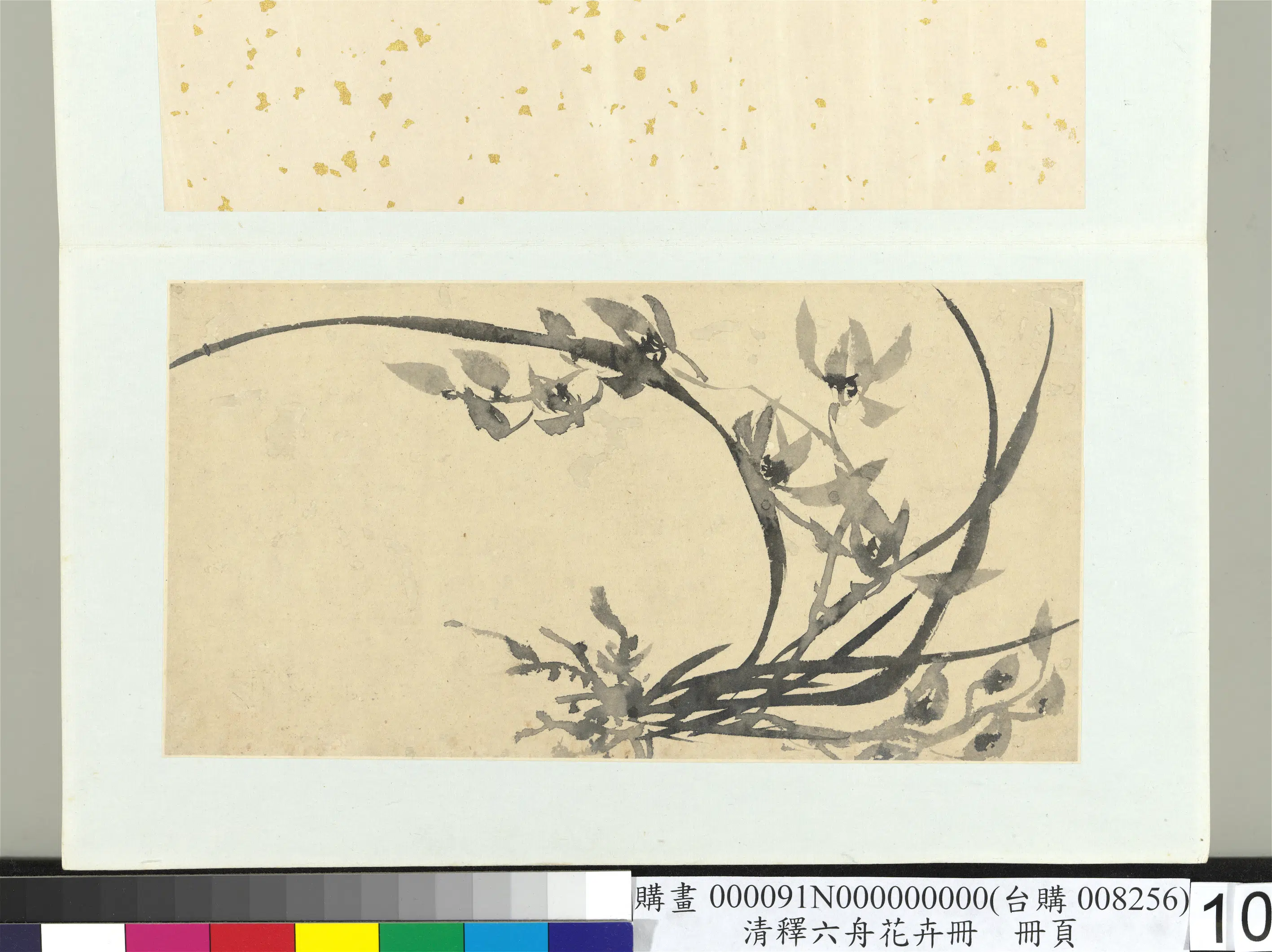 清代【释达受】《花卉册》 第9张