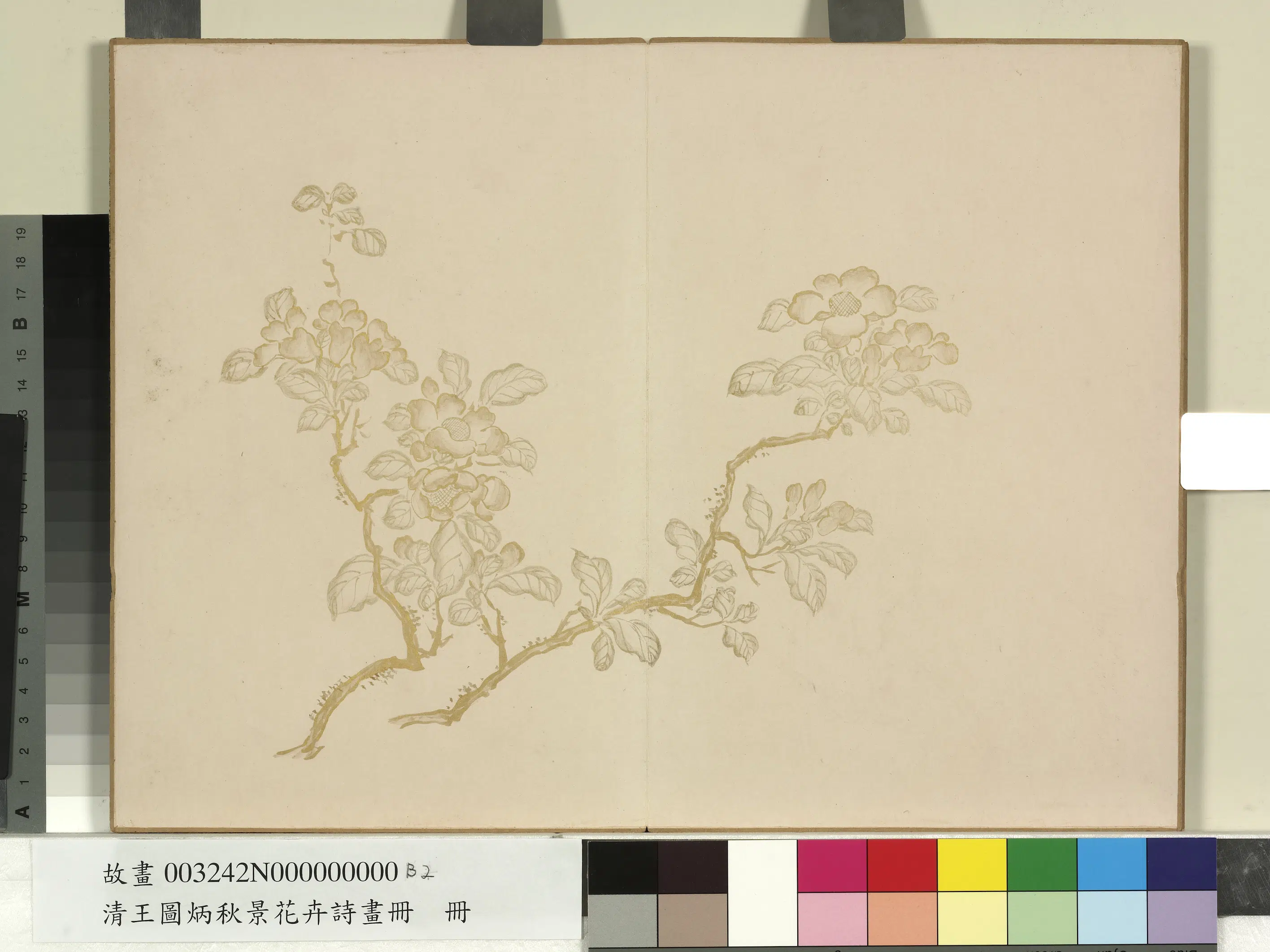 清代【王图炳】《秋景花卉诗画册》 第4张 清代【王图炳】《秋景花卉诗画册》 第4张