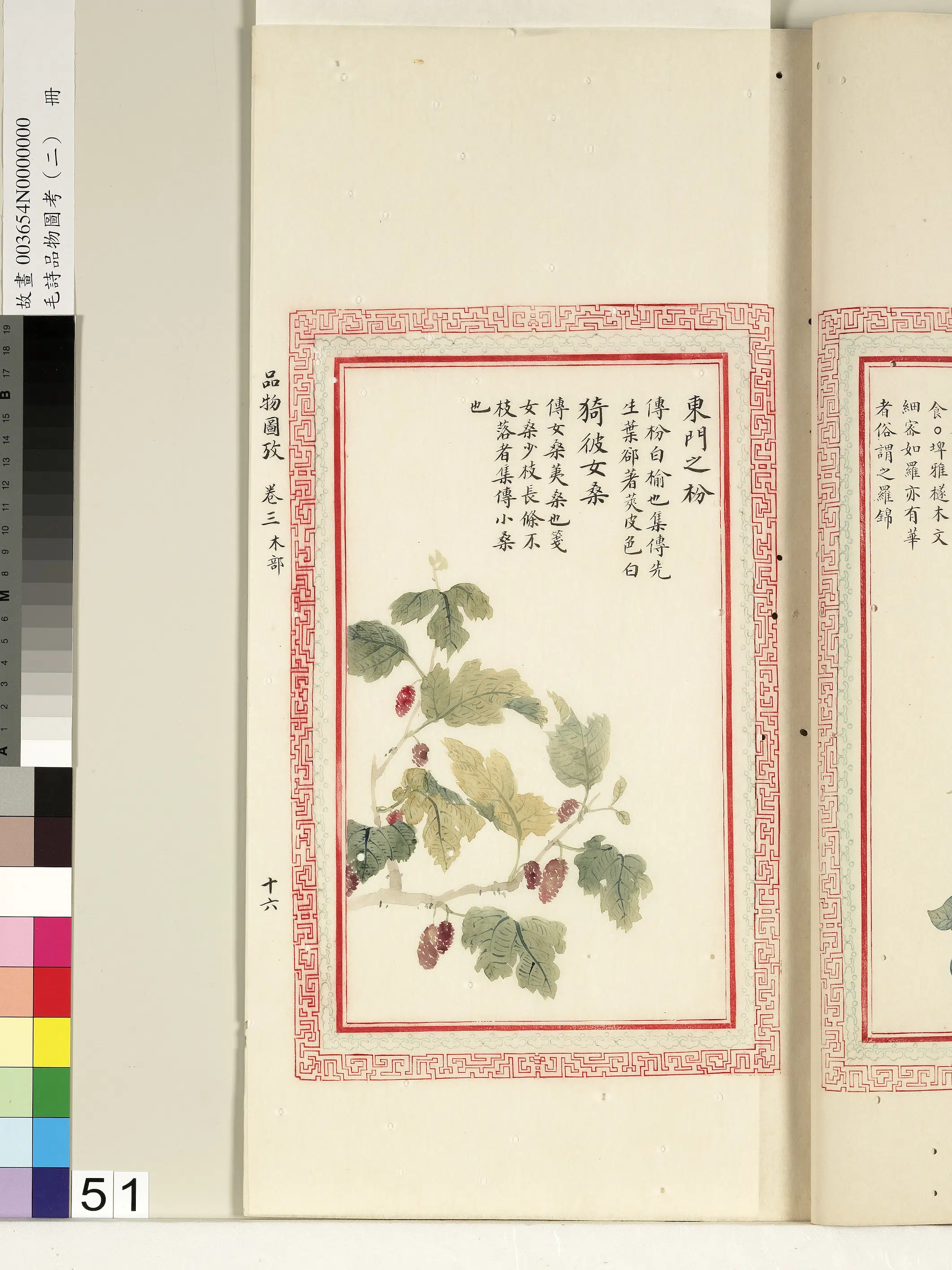清代《毛诗品物图考(二)册-1》 第3张 清代《毛诗品物图考(二)册-1》 第3张