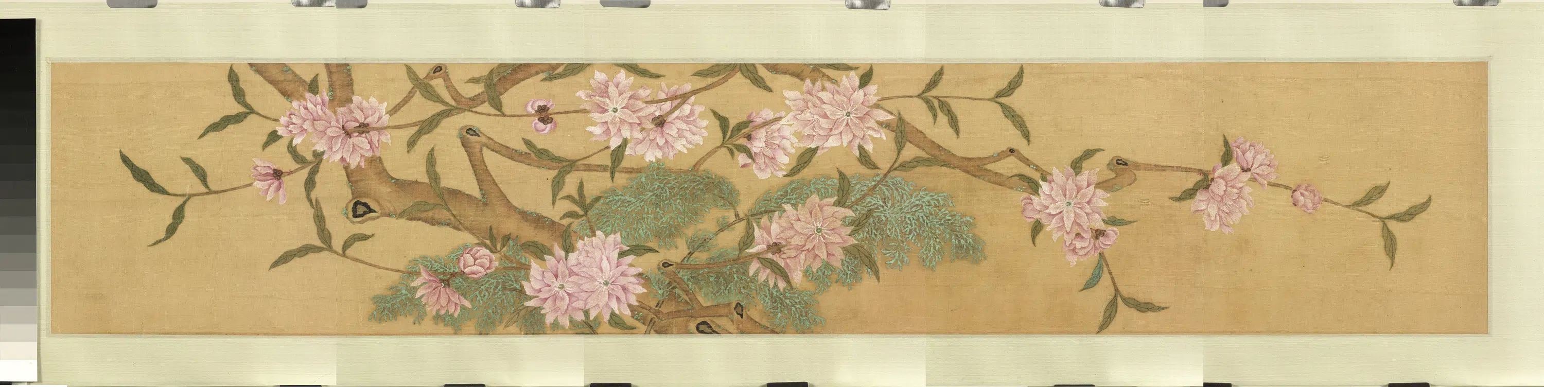 《无名氏画花卉（一）卷》