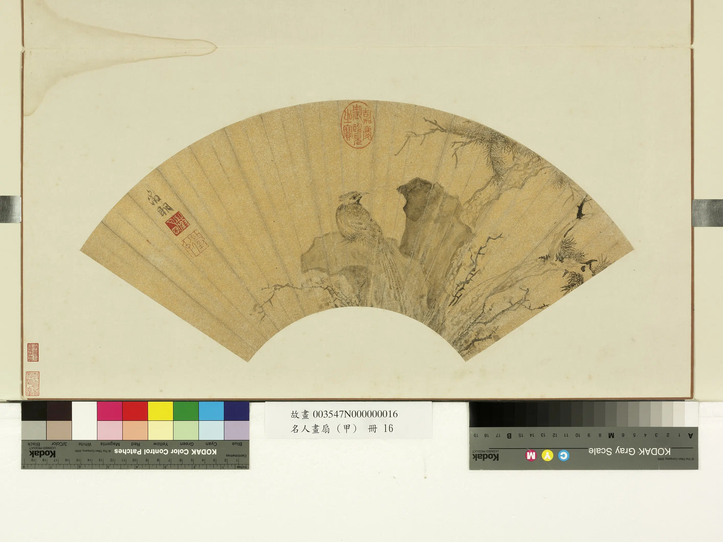 明朝【文征明徵明】《名人画扇(甲)册-山鸡》