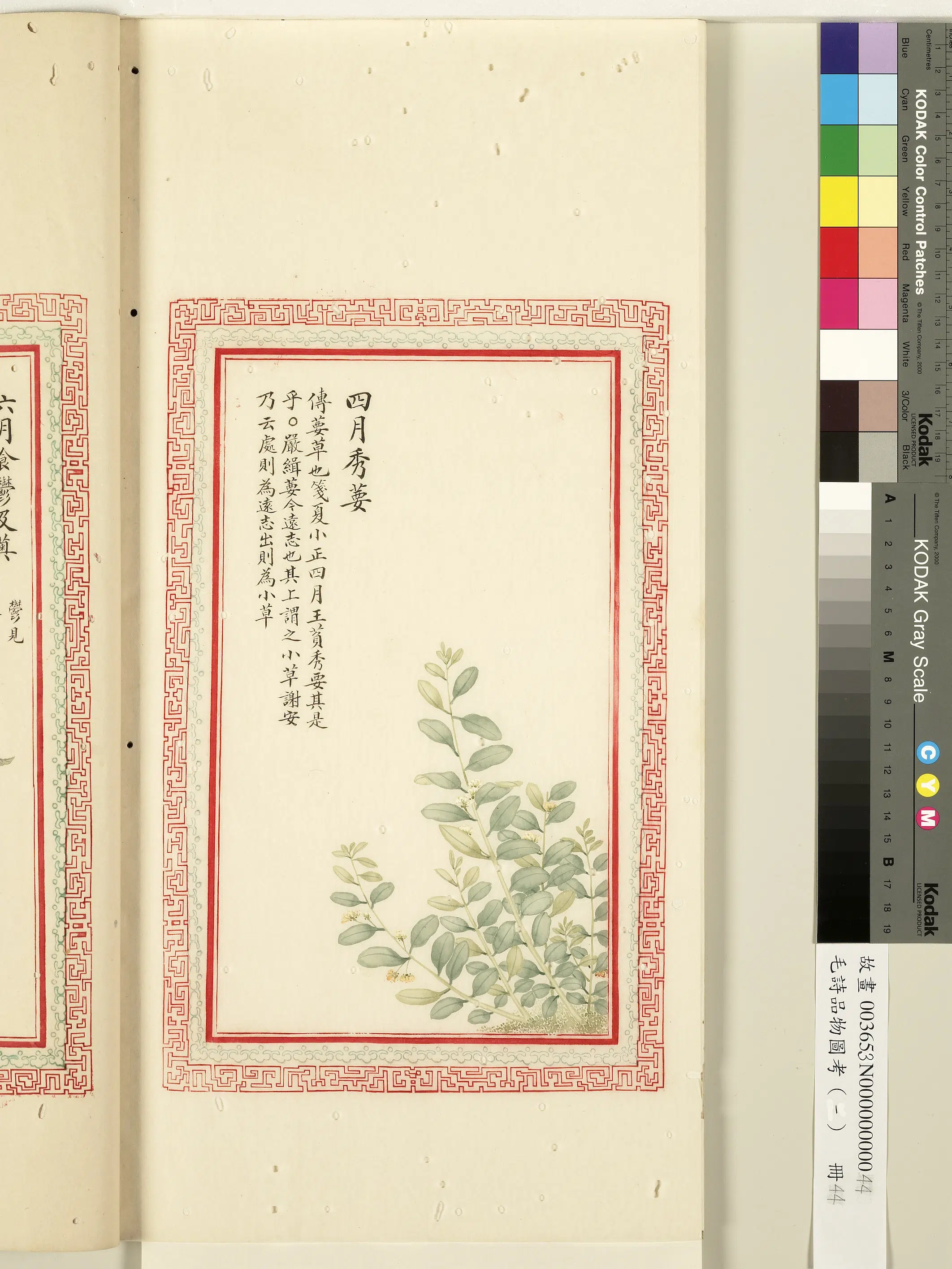 清朝【佚名】《毛诗品物图考（一）册-四月秀葽-1》