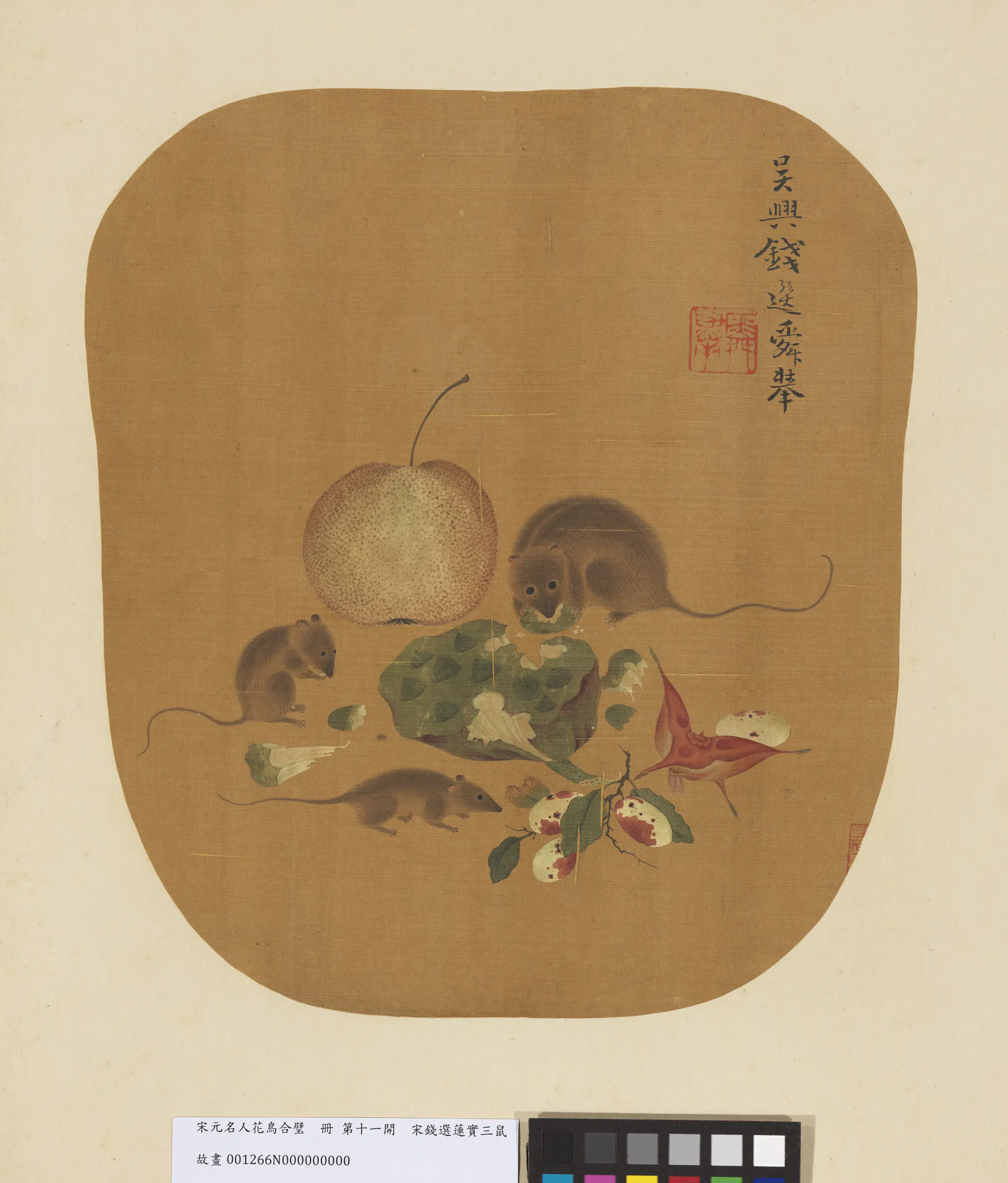 宋-元朝【钱选】《莲实三鼠图_宋元名人花鸟合璧册》