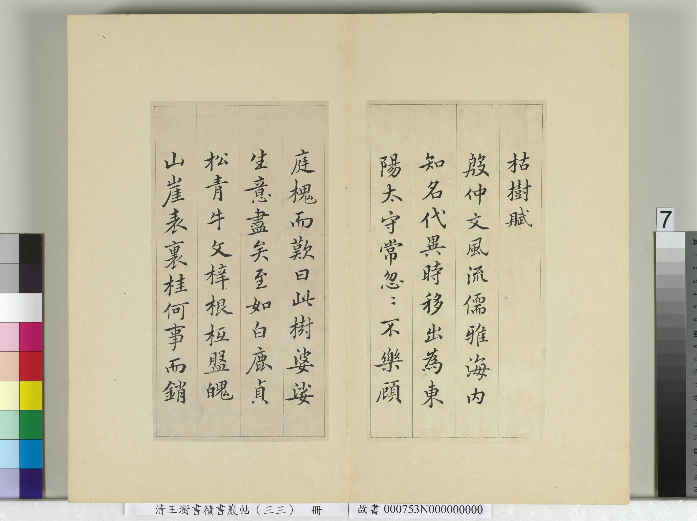清代【王澍】《书积书岩帖（三十三）册-临褚遂良枯树赋二种》