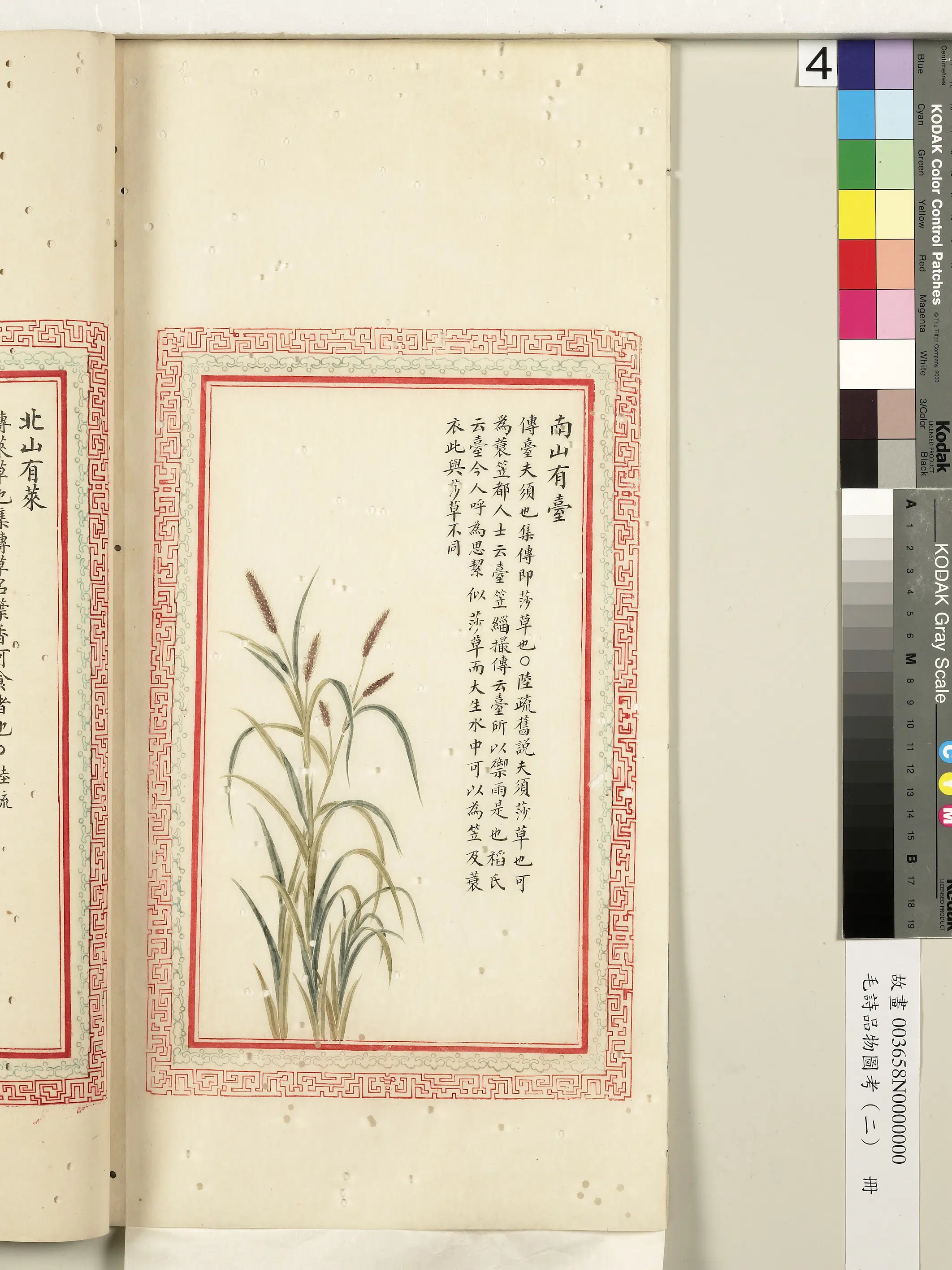 清朝【佚名】《毛诗品物图考（二）册-南山有台-2》