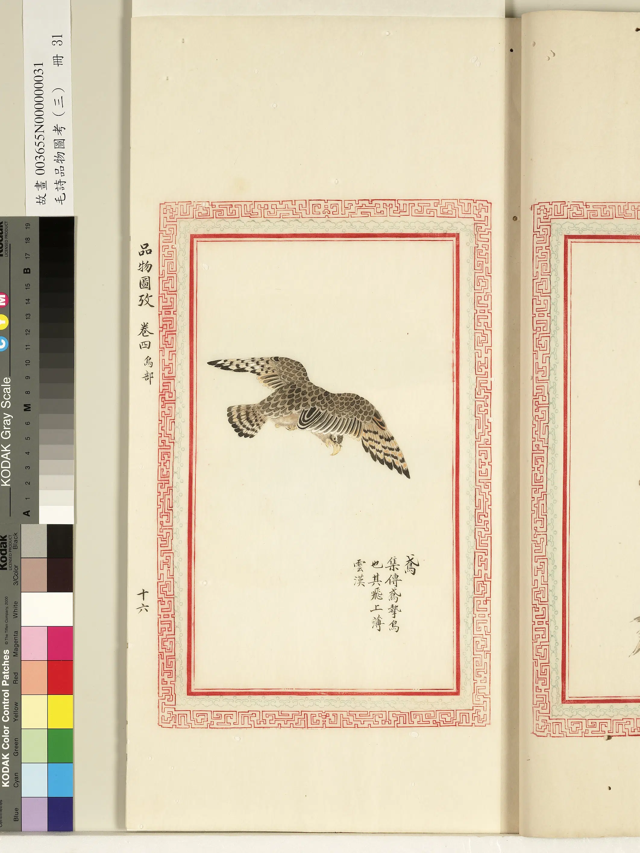 清代《毛诗品物图考(三)册-1》 第53张 清代《毛诗品物图考(三)册-1》 第53张