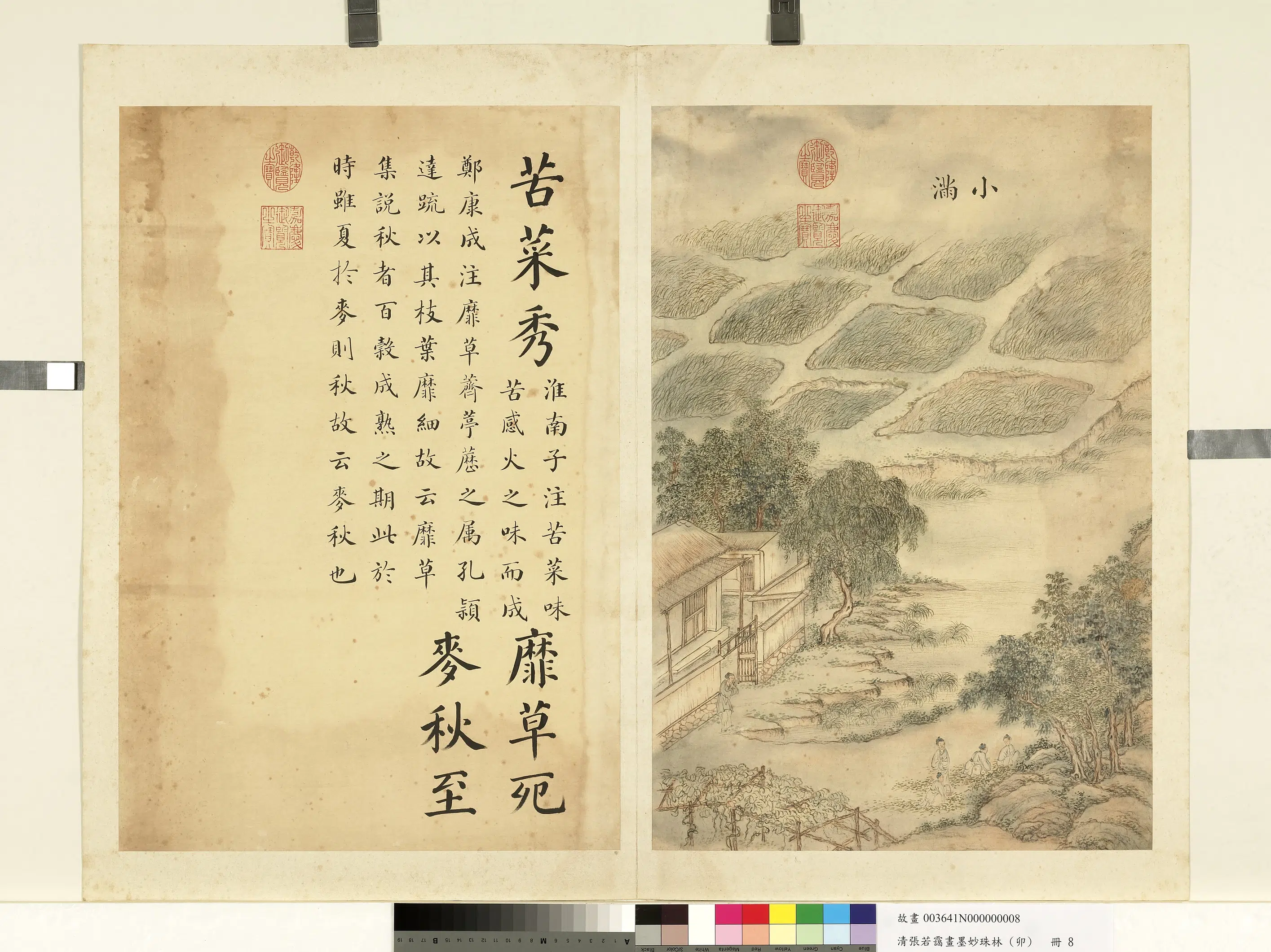 清代【张若霭】《画墨妙珠林（卯）册-小满》