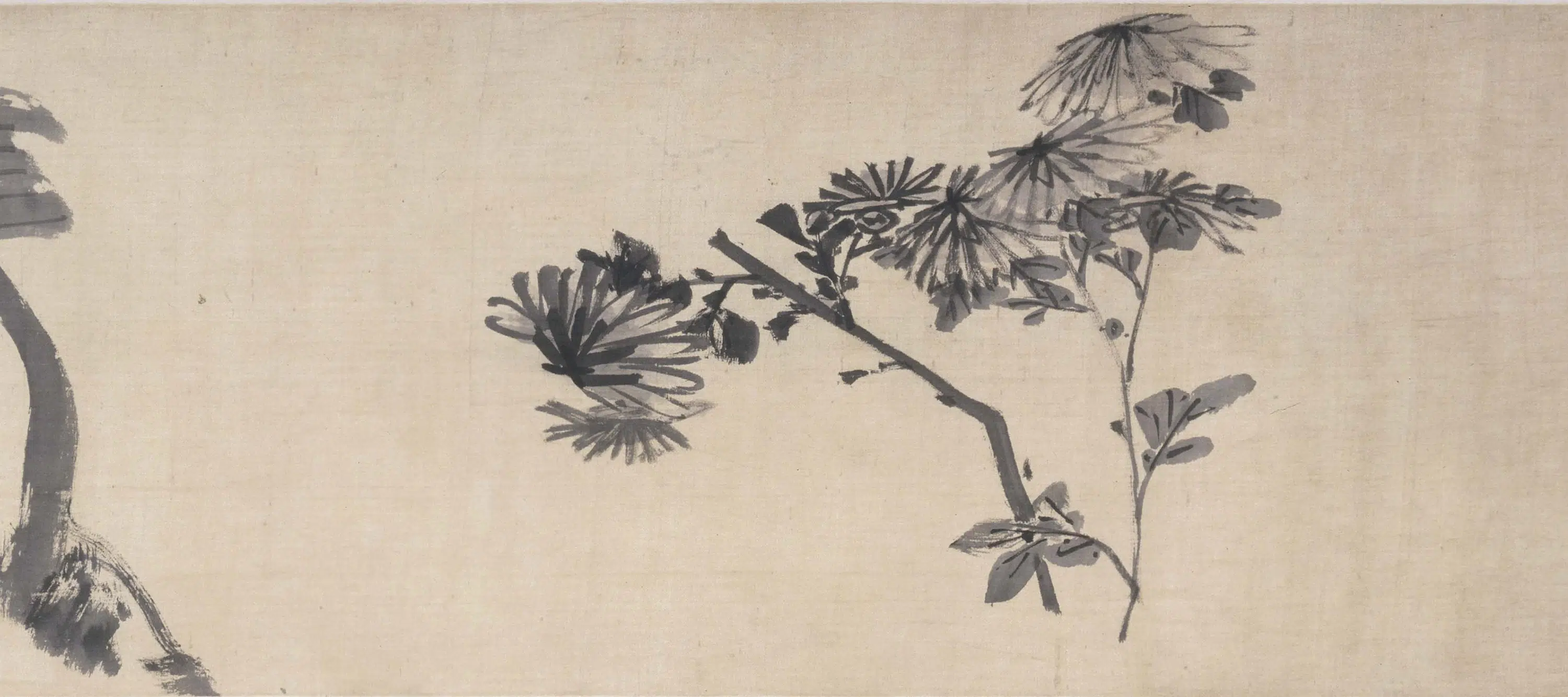 清代【朱耷】《花卉卷》 第5张