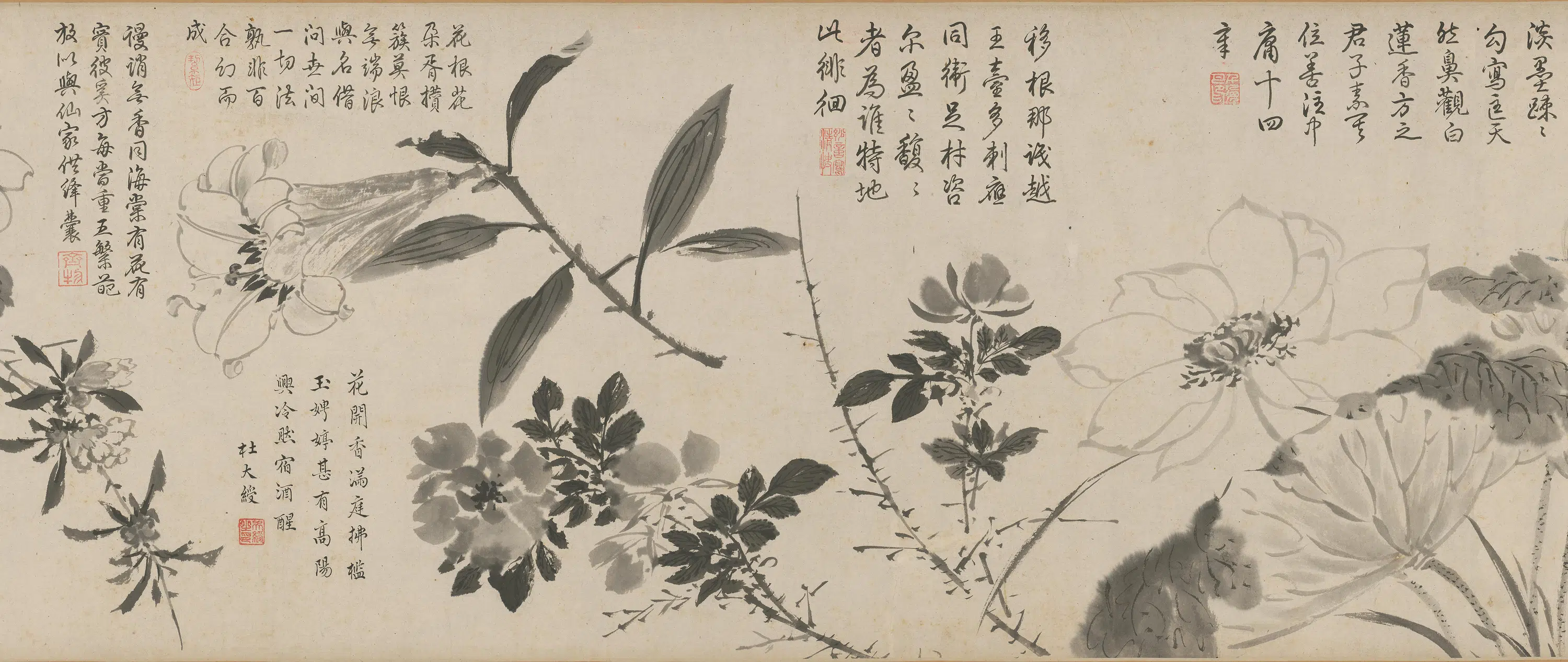明朝【周之冕】《百花图卷》 第9张 明朝【周之冕】《百花图卷》 第9张