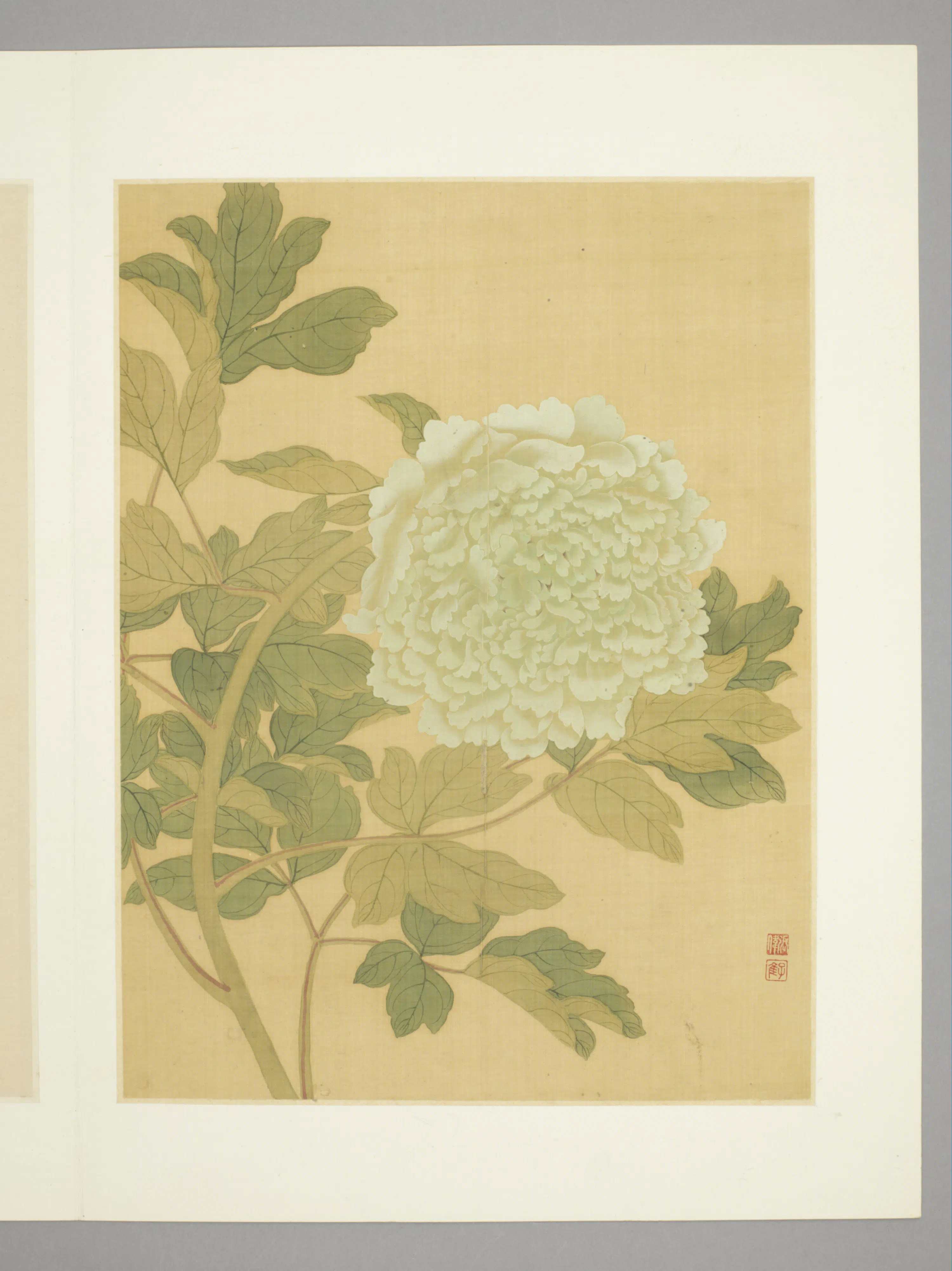 清代【张伟】《花卉册（9开）》 第5张