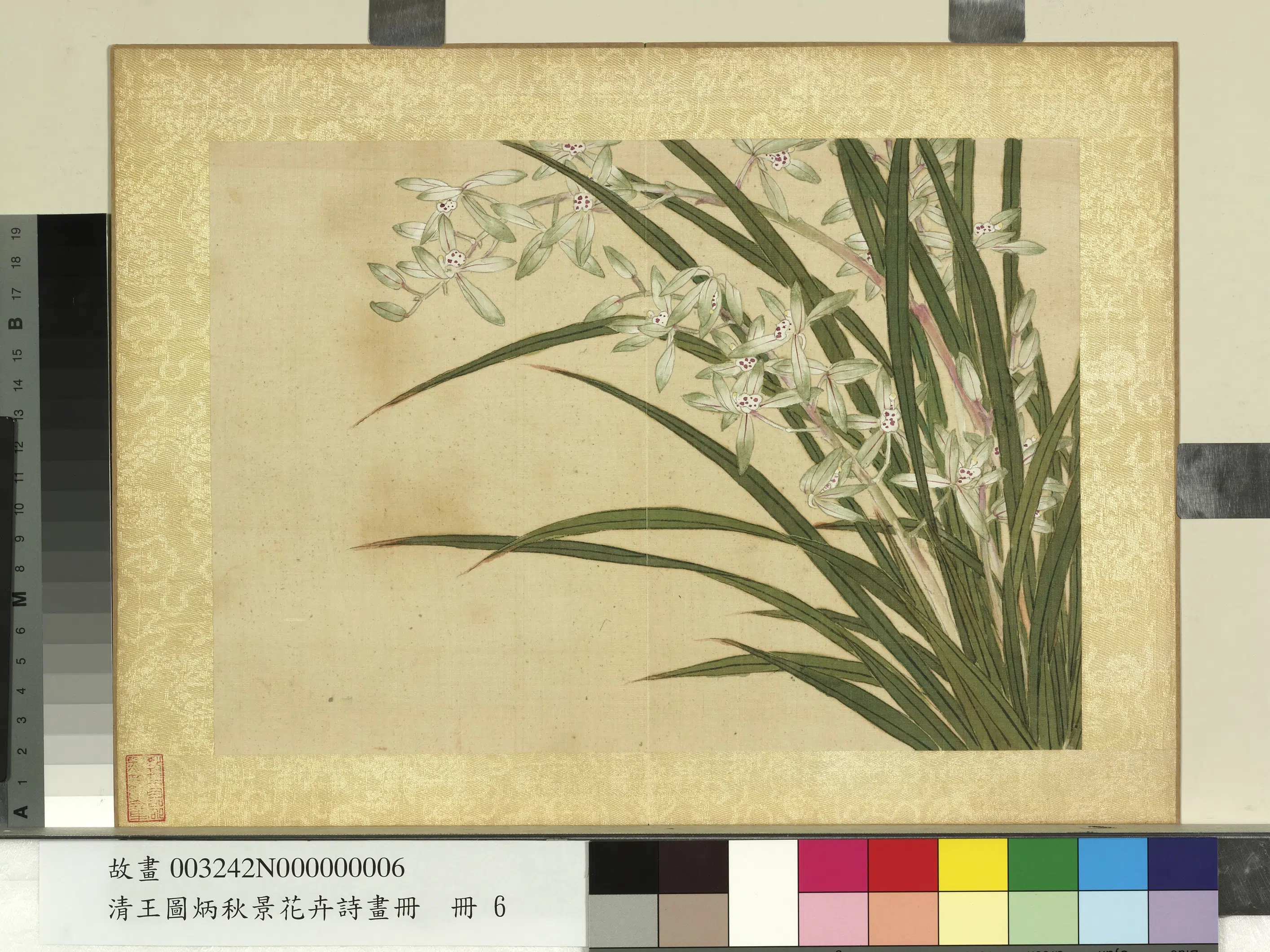 清代【王图炳】《秋景花卉诗画册》 第14张 清代【王图炳】《秋景花卉诗画册》 第14张