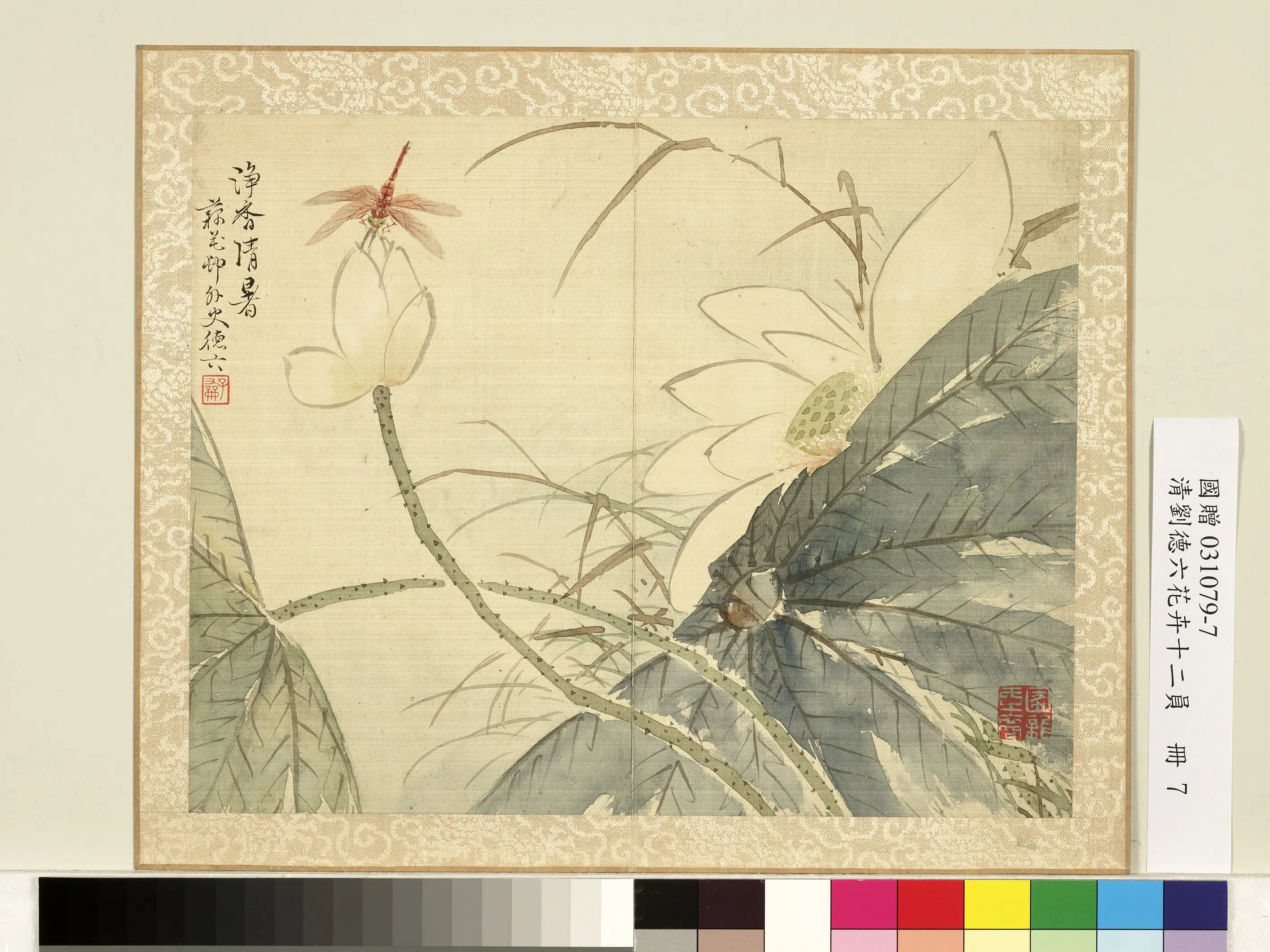 清代【刘德六】《花卉十二员册》 第13张