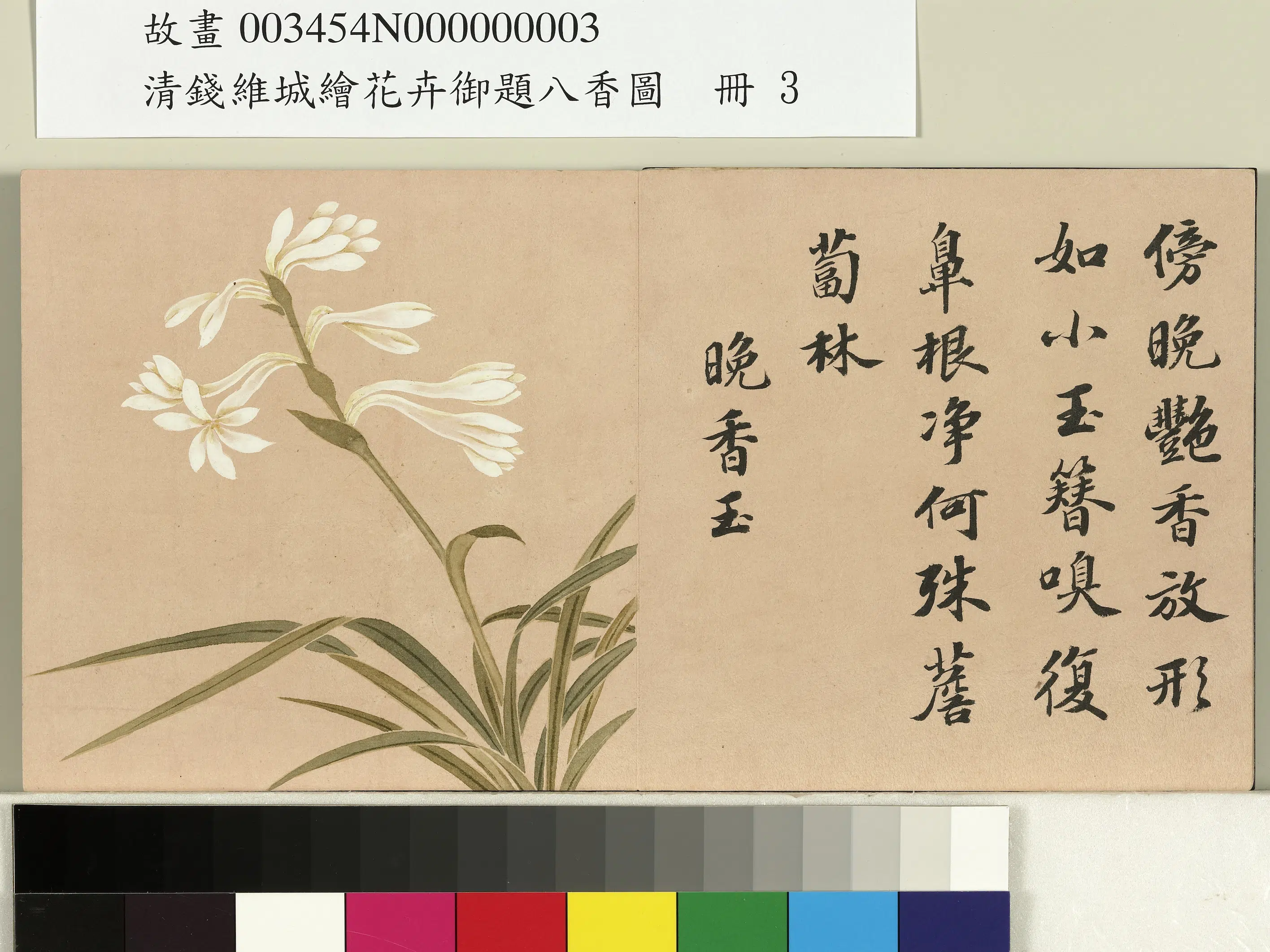 清代【钱维城】《绘花卉御题八香图册-晚香玉》