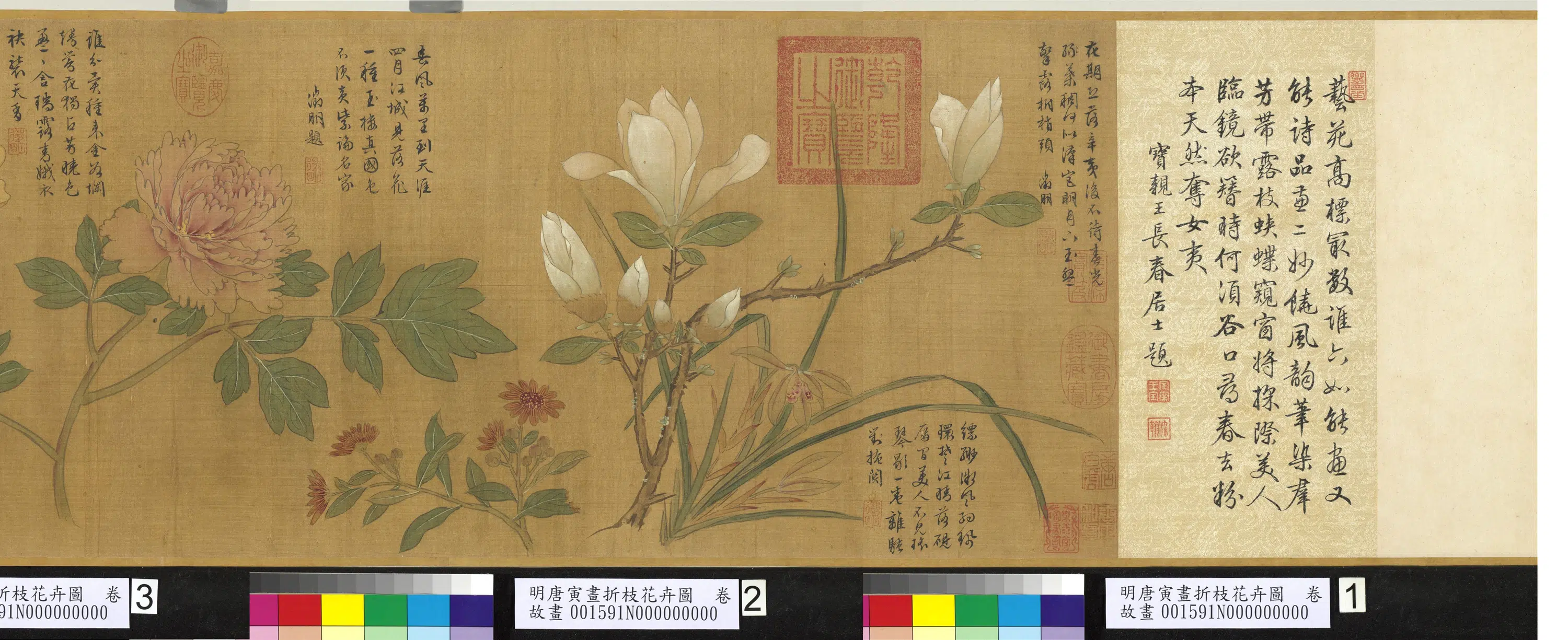 明朝【唐寅】《画折枝花卉图卷》 第4张