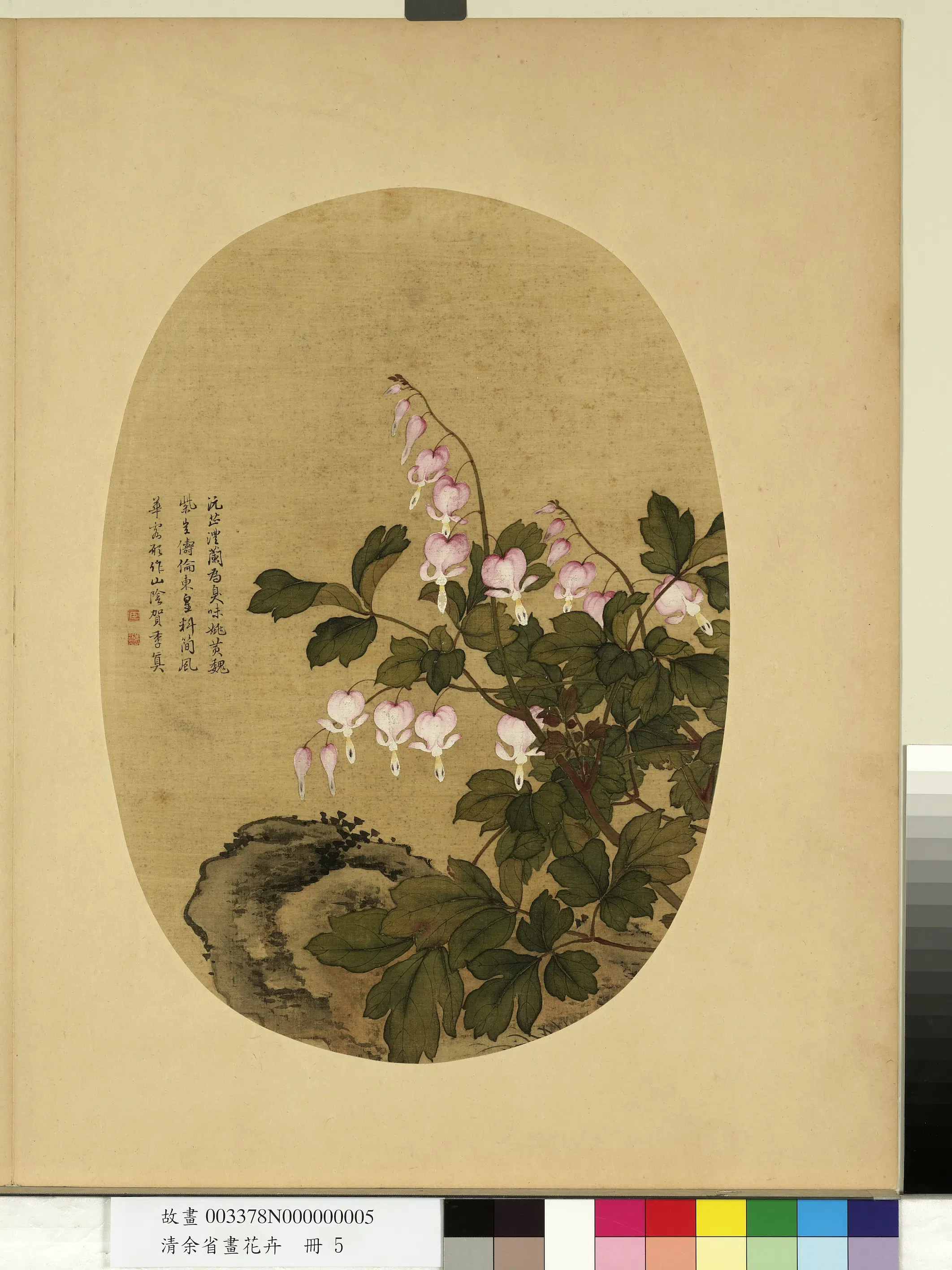 清代【余省】《画花卉册》 第12张