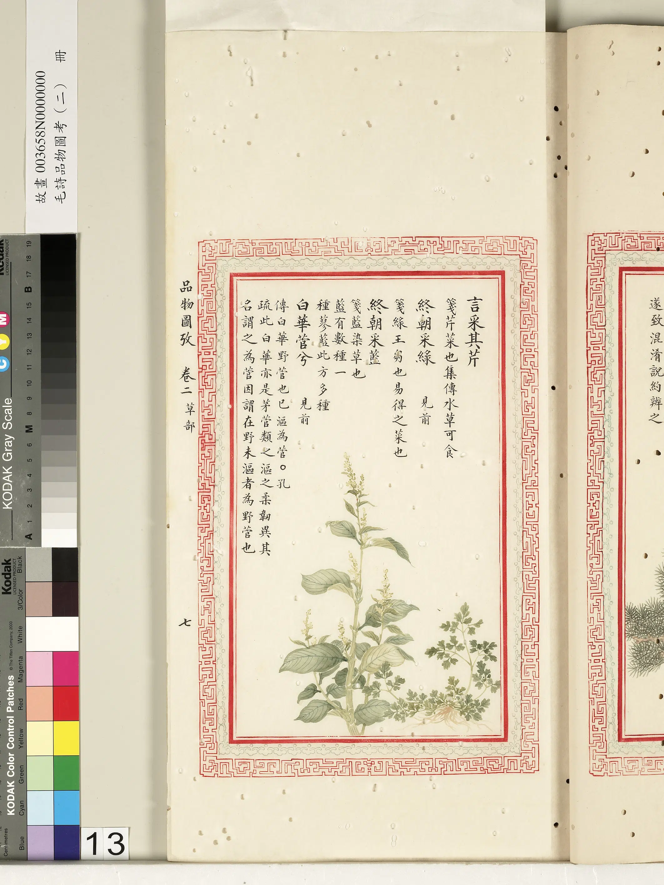 清代《毛诗品物图考（二）册-2》 第51张