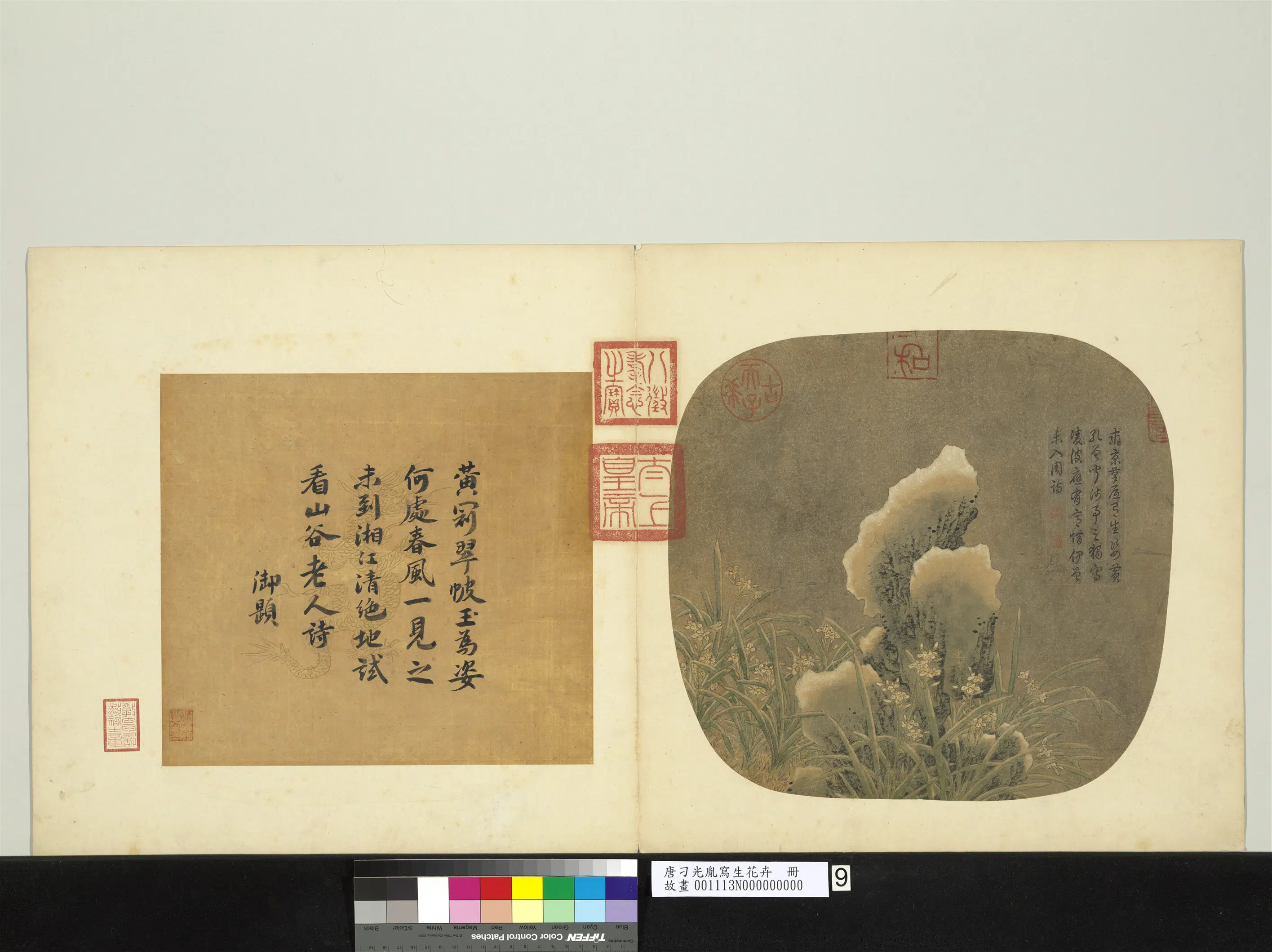 唐朝【刁光胤】《写生花卉册-水仙倚石上有积雪》 第1张