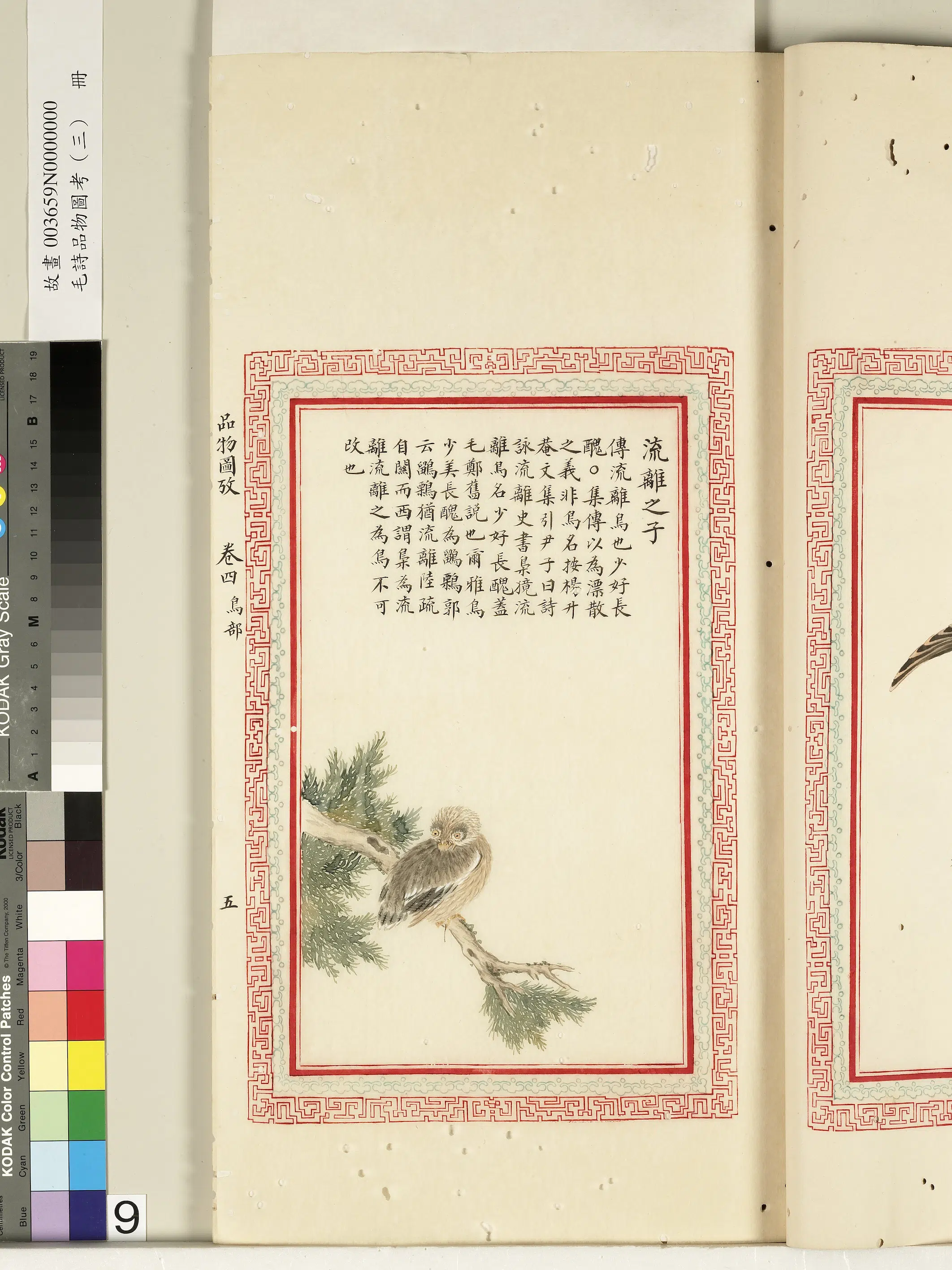 清代《毛诗品物图考(三)册-2》 第30张 清代《毛诗品物图考(三)册-2》 第30张