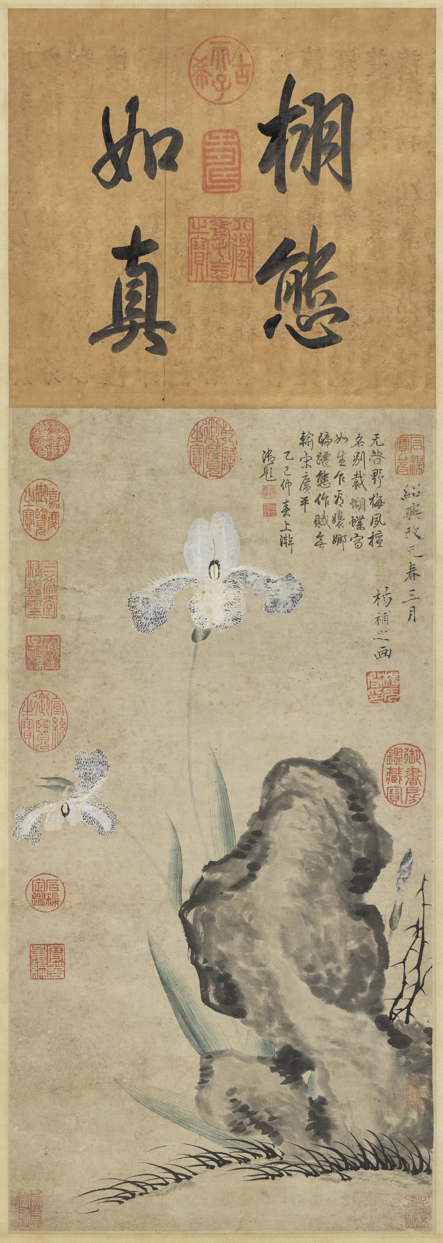 宋朝【扬无咎】《画蝴蝶花图轴》