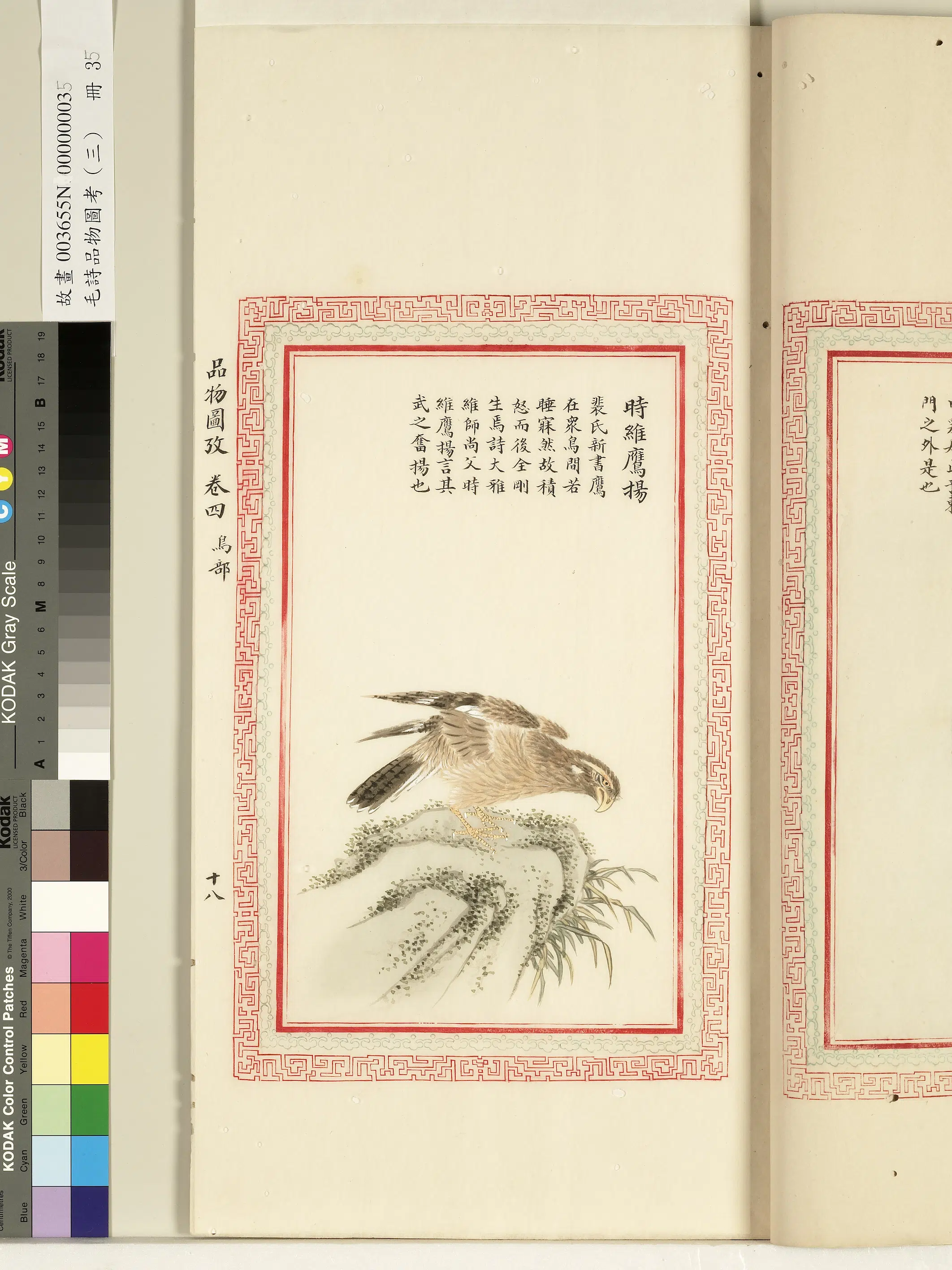清代《毛诗品物图考(三)册-1》 第22张 清代《毛诗品物图考(三)册-1》 第22张