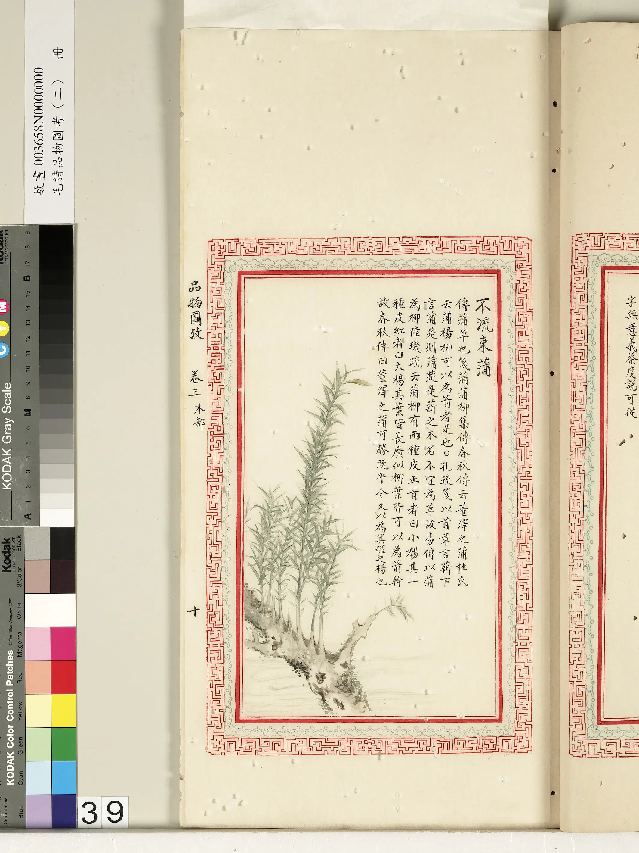 清代《毛诗品物图考（二）册-2》 第2张
