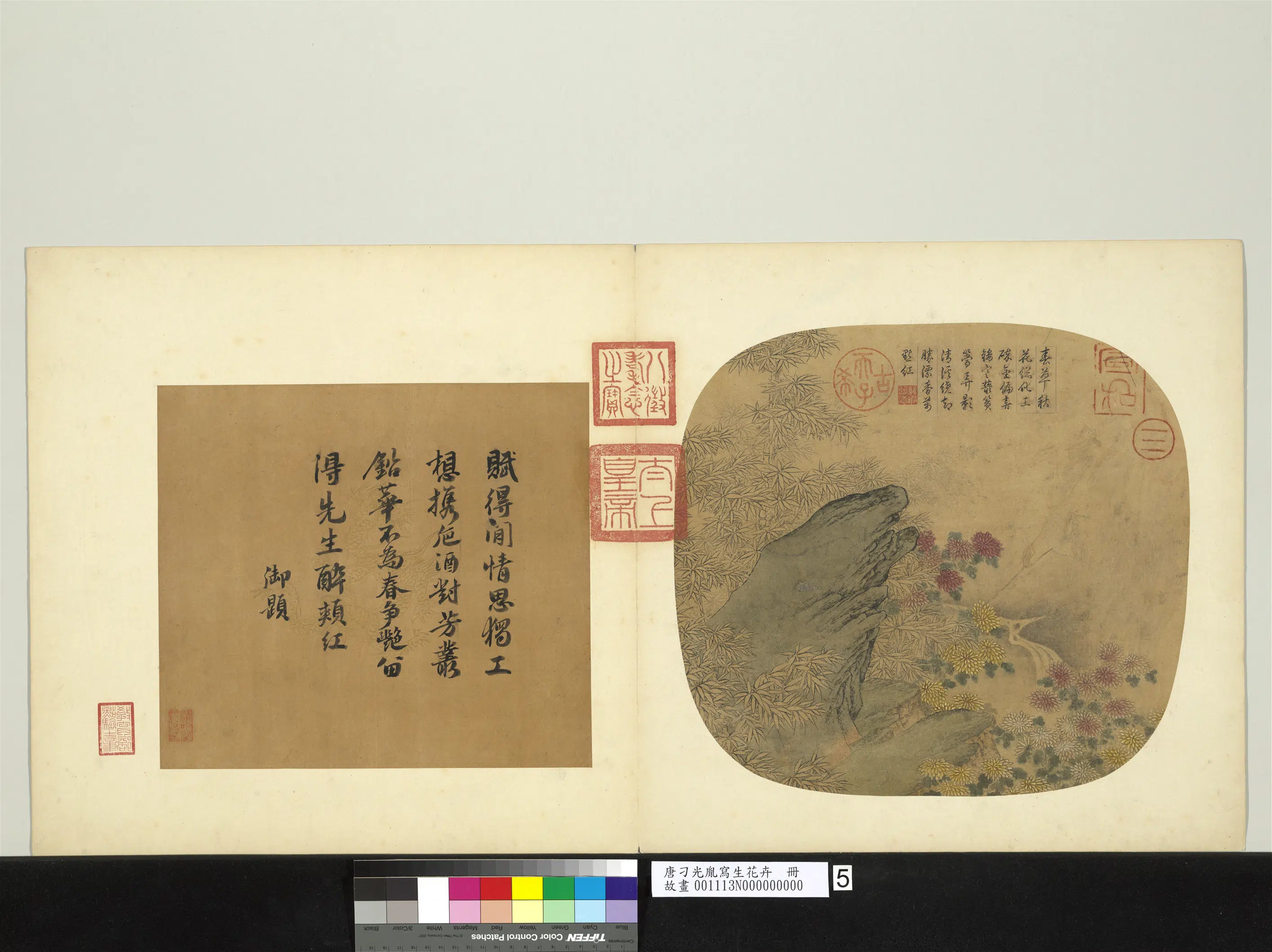 唐朝【刁光胤】《写生花卉册》 第4张