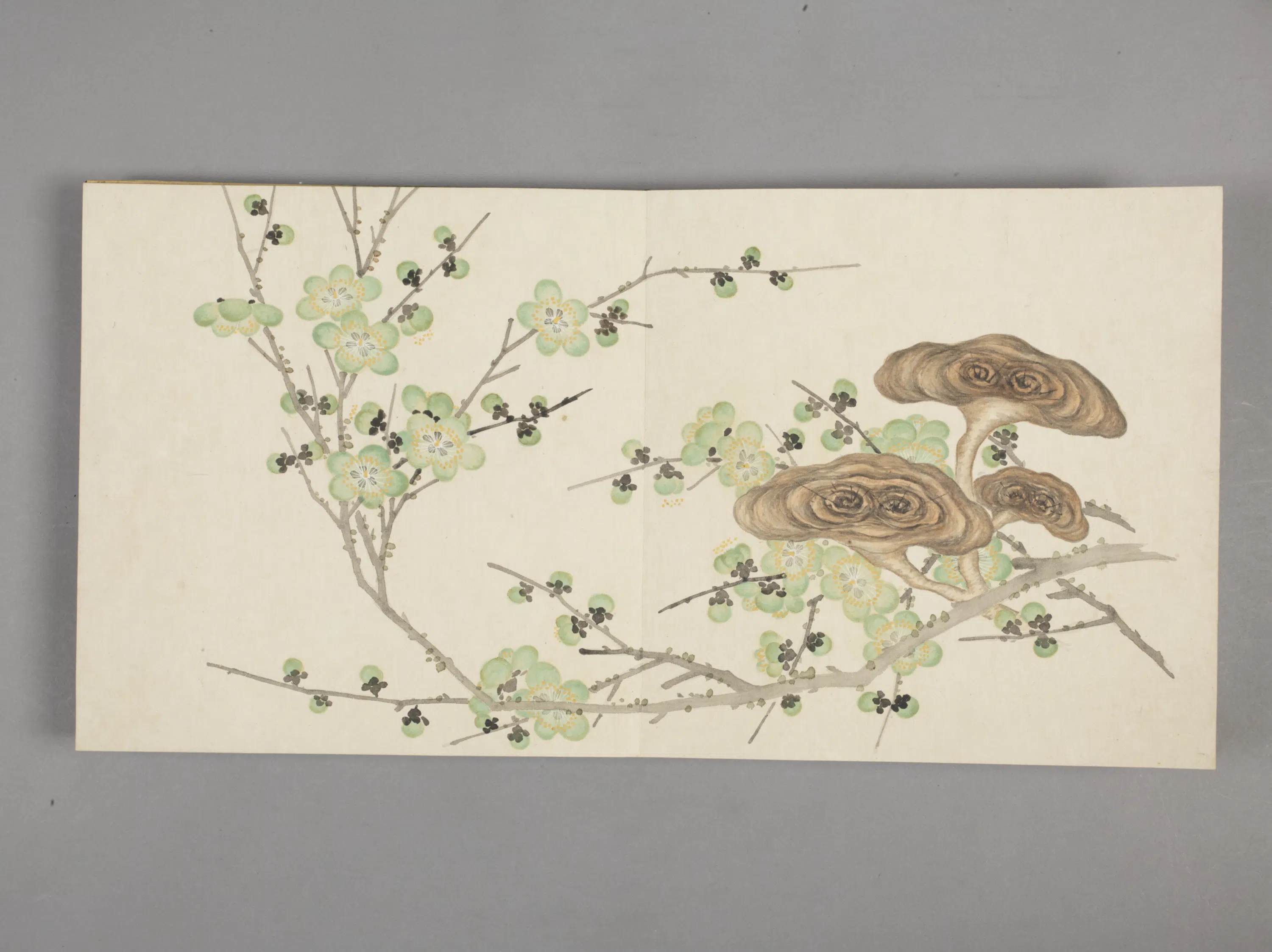 清代【董诰】《花卉小册(11开)》 第2张 清代【董诰】《花卉小册(11开)》 第2张