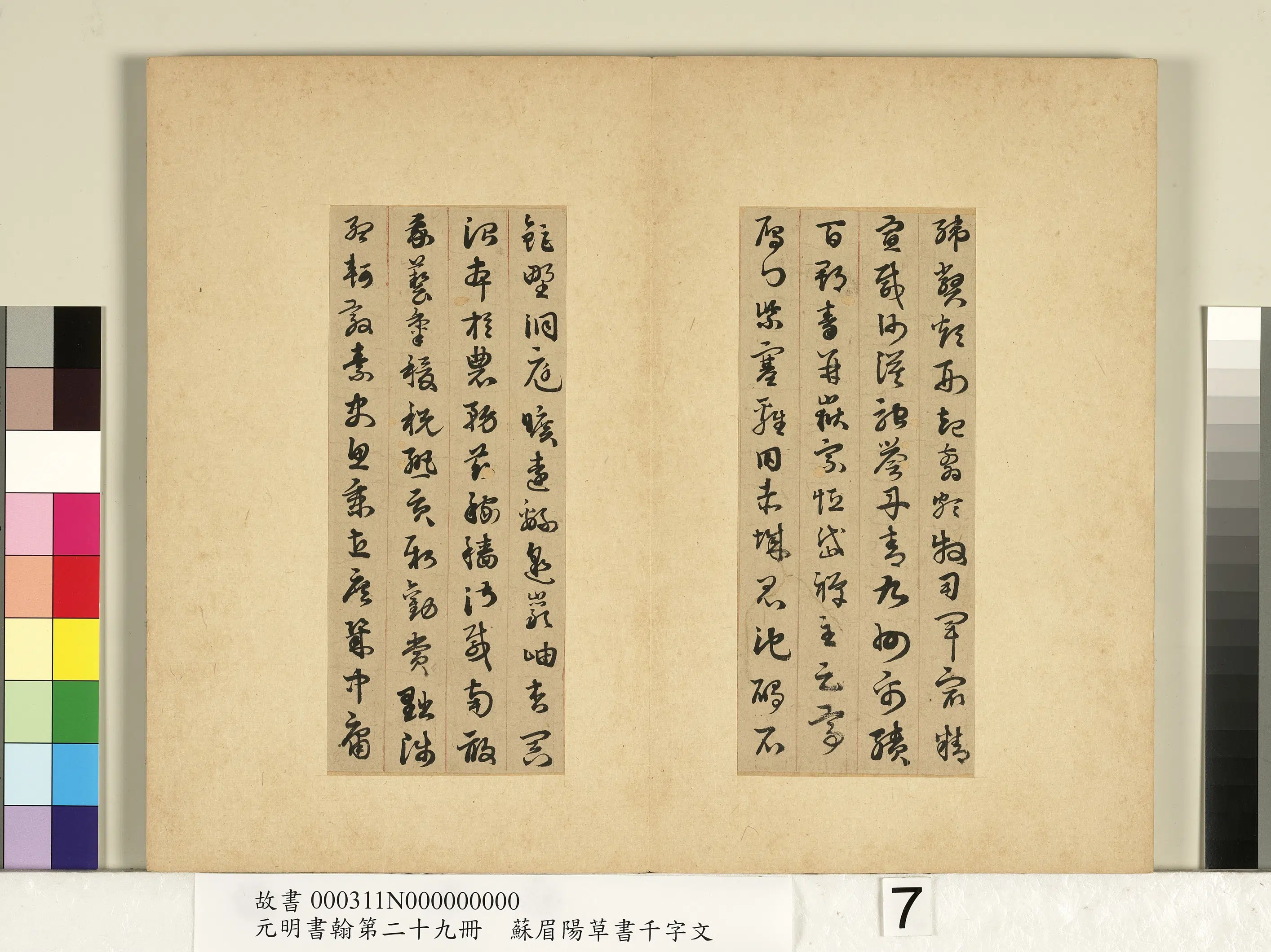 明朝【苏眉阳】《元明书翰第二十九册-草书千字文》 第9张