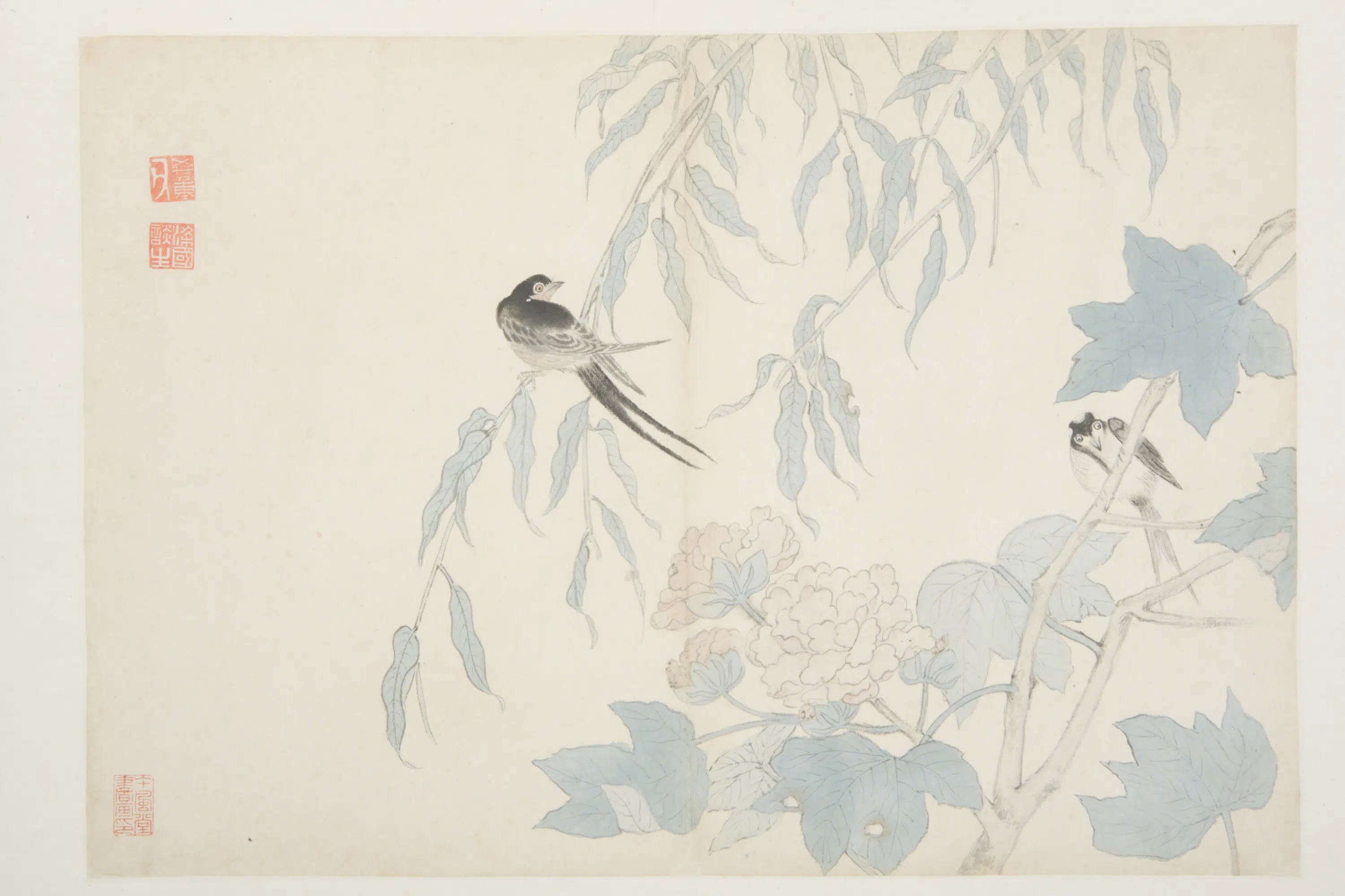 明朝【谈志伊】《花鸟册》 第17张